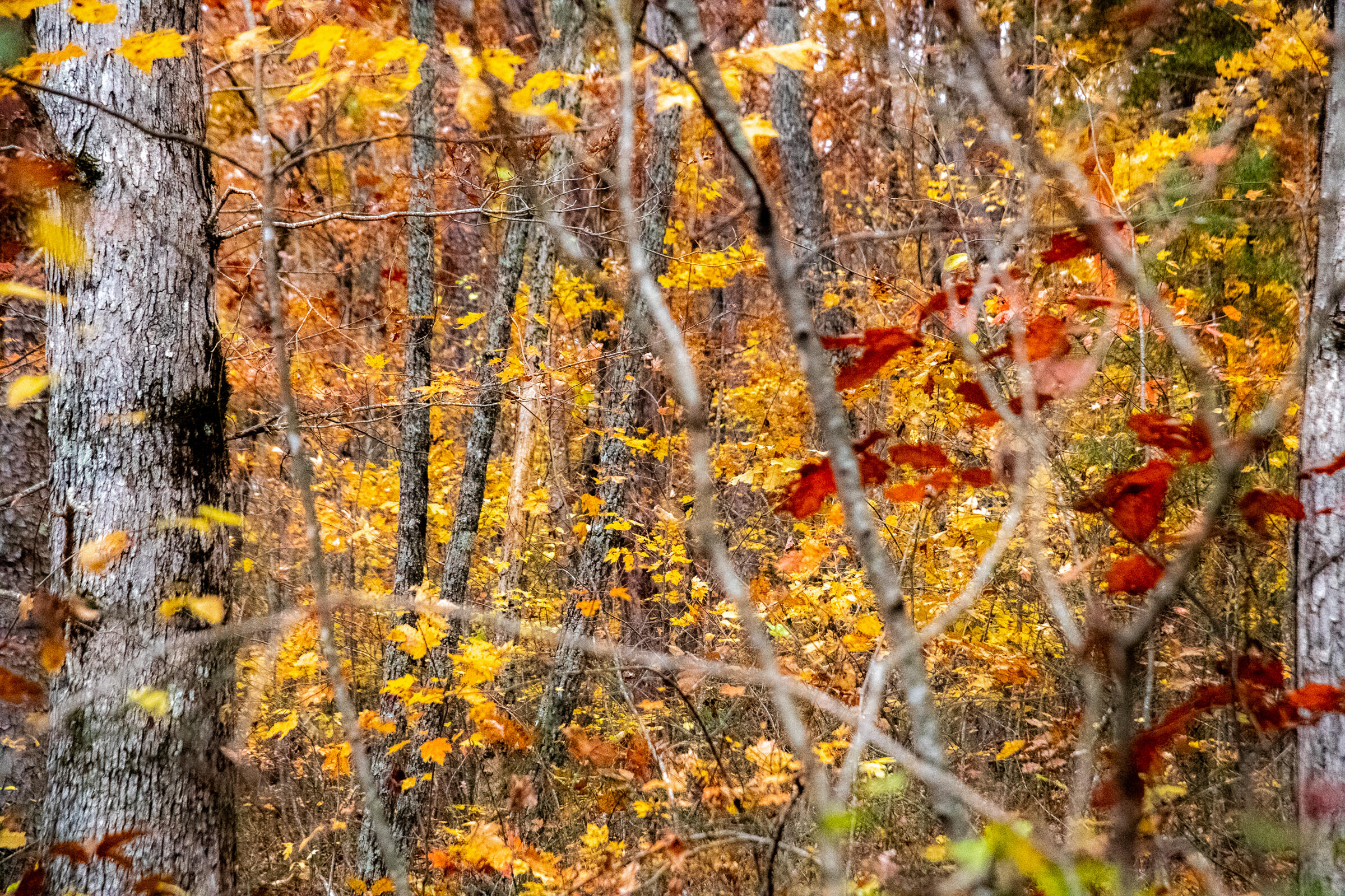 0 Clear Brooks Drive