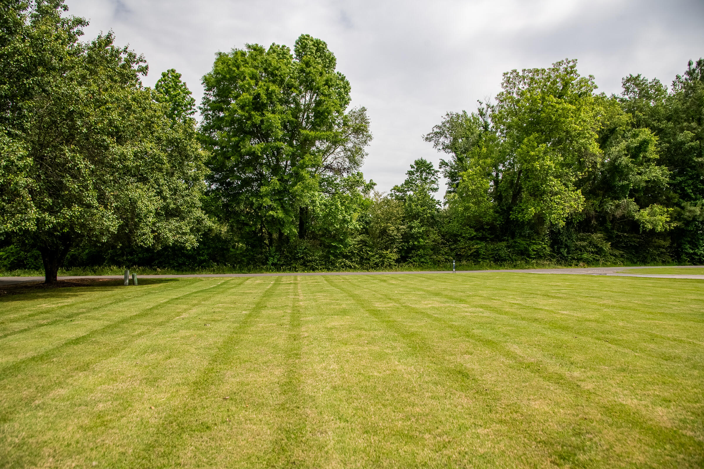 528 Magnolia Lane