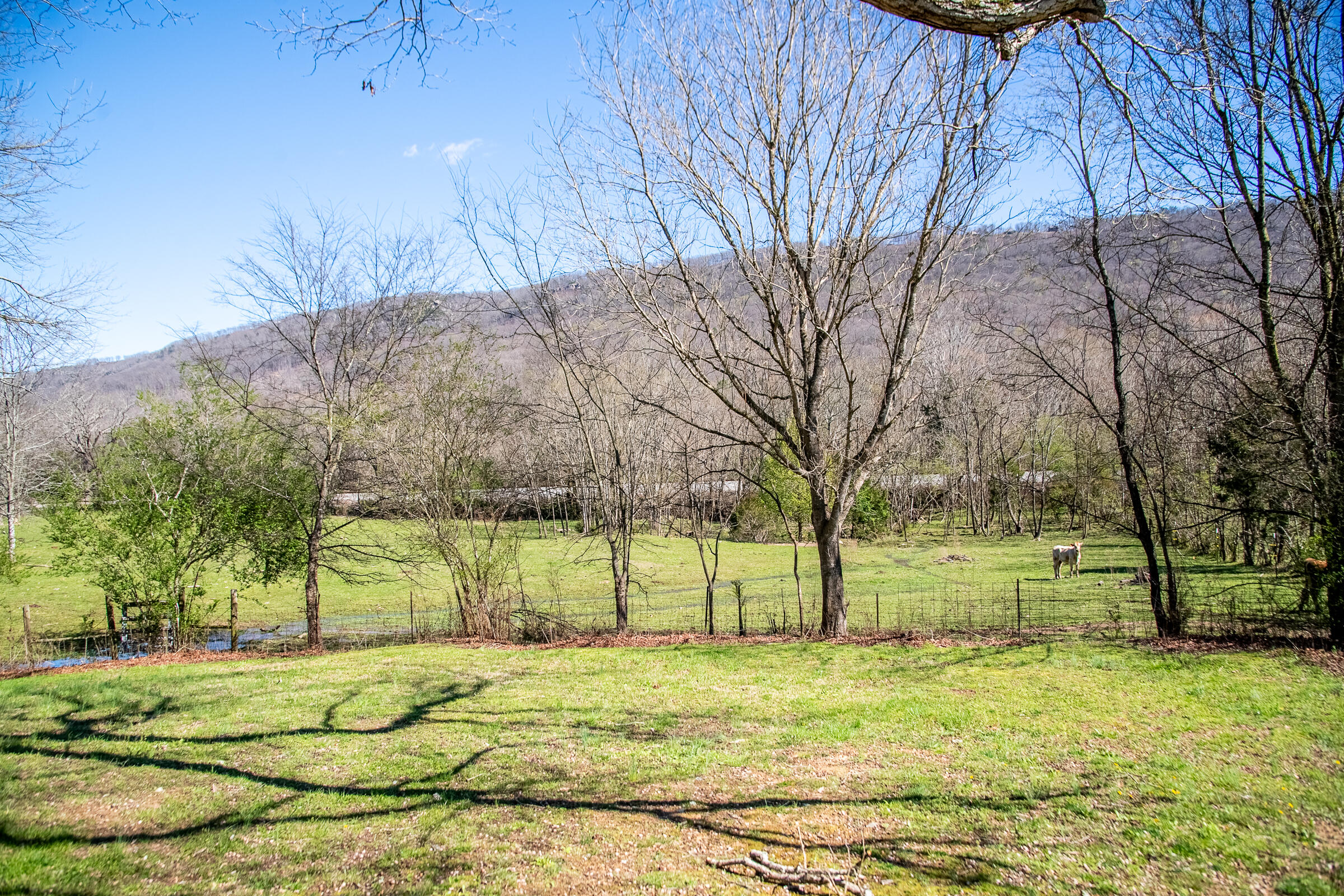 4243 Cloverdale Road