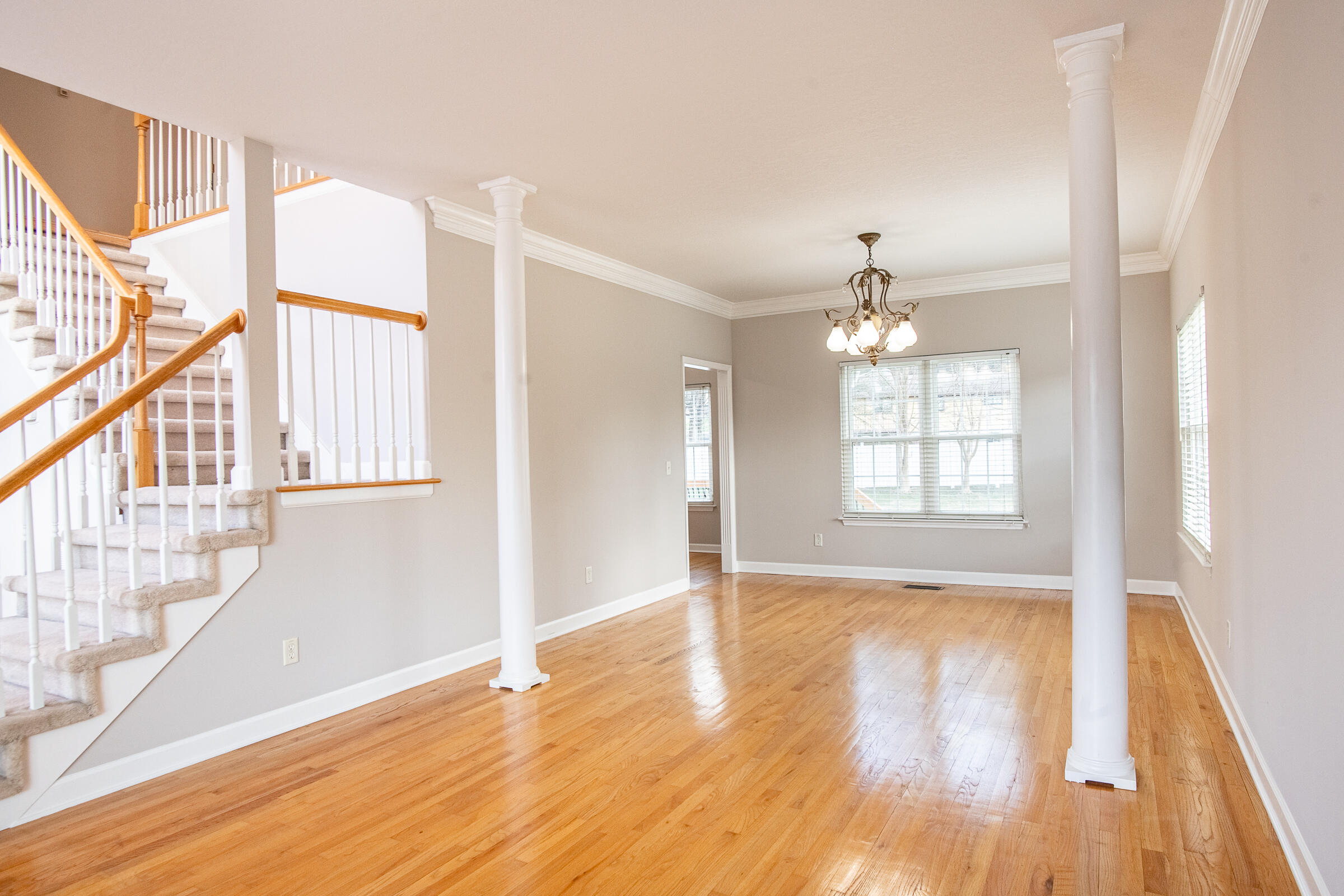 8706 Flowerdale Drive