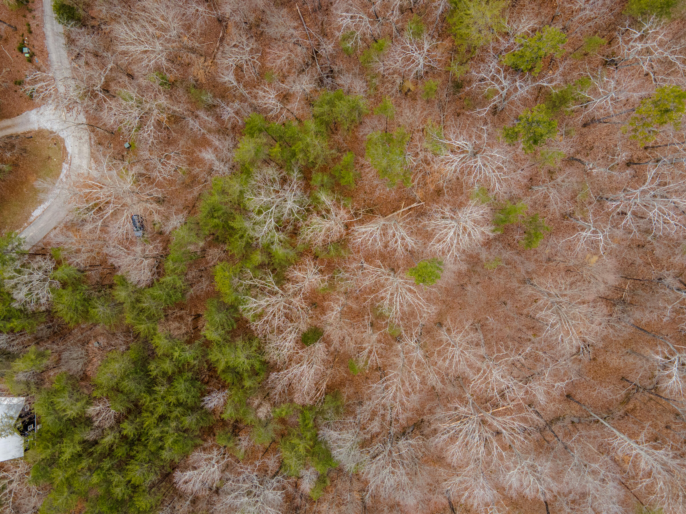 45 Valley Rim Drive, 45