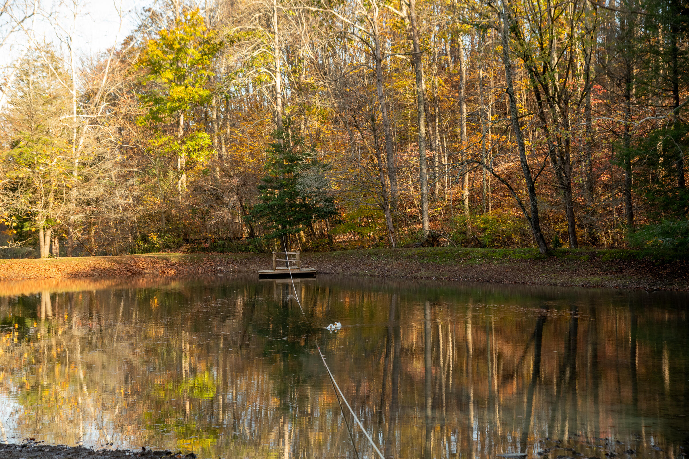 45 Valley Rim Drive, 45