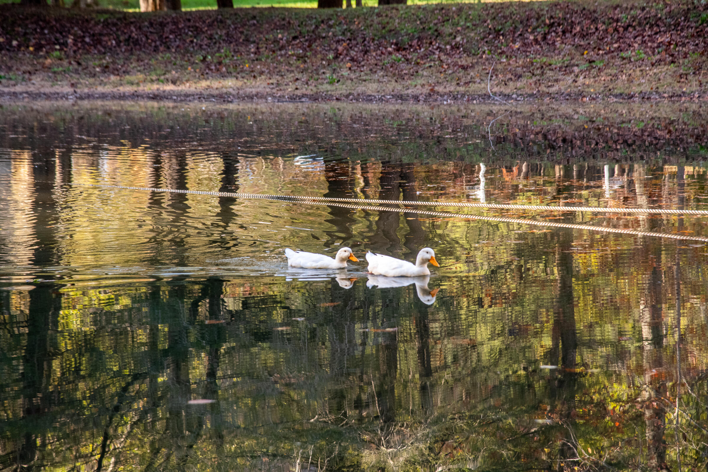 45 Valley Rim Drive, 45