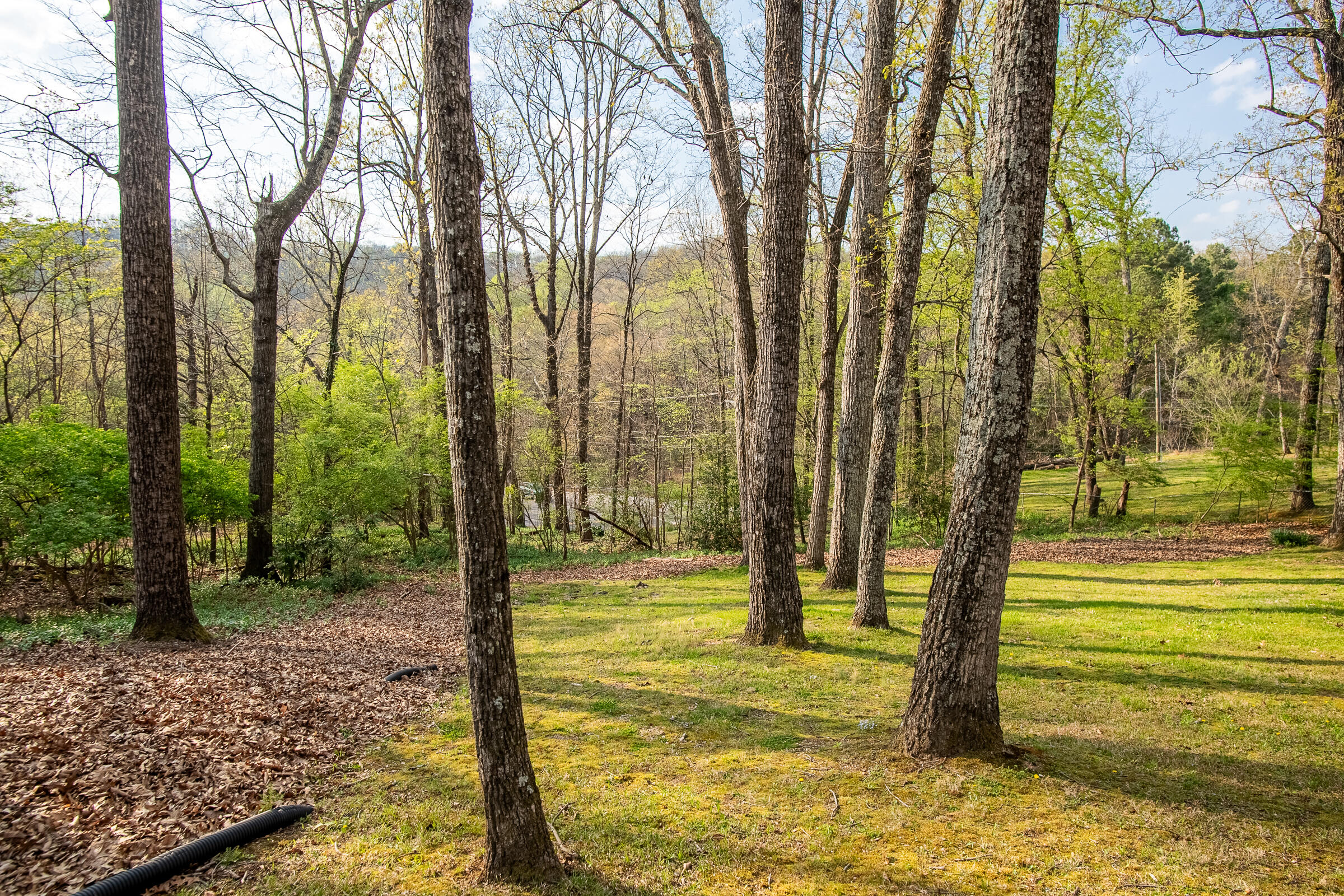 5702 Queen Mary Lane