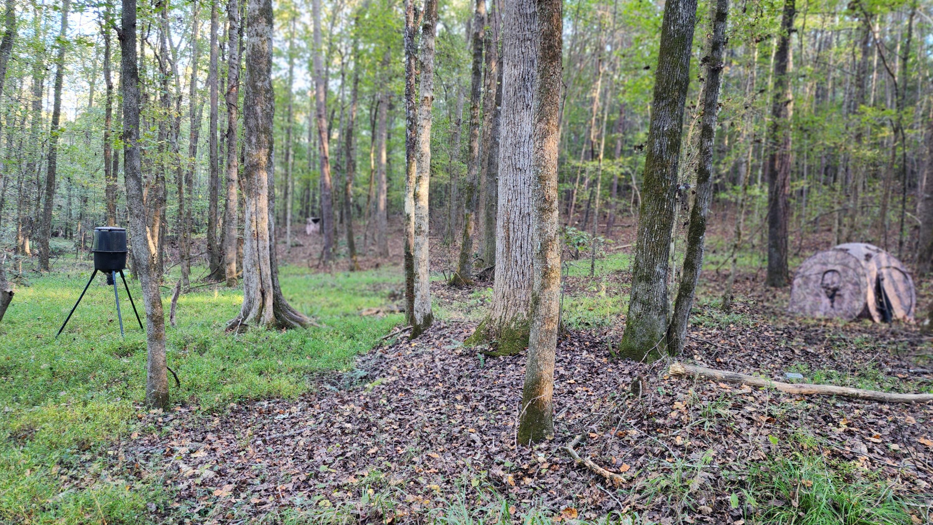 715 Oconee Forest Road