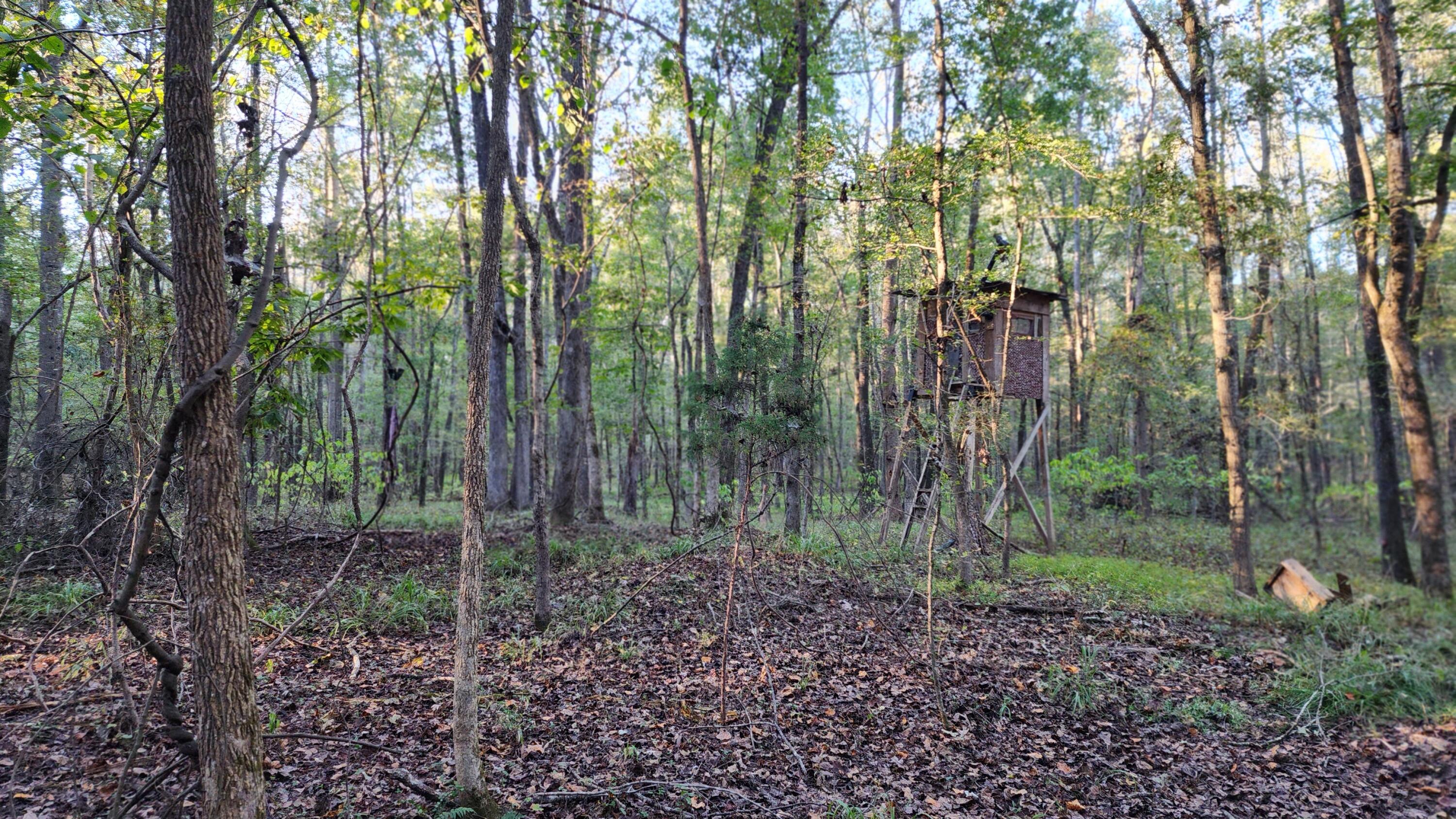 715 Oconee Forest Road