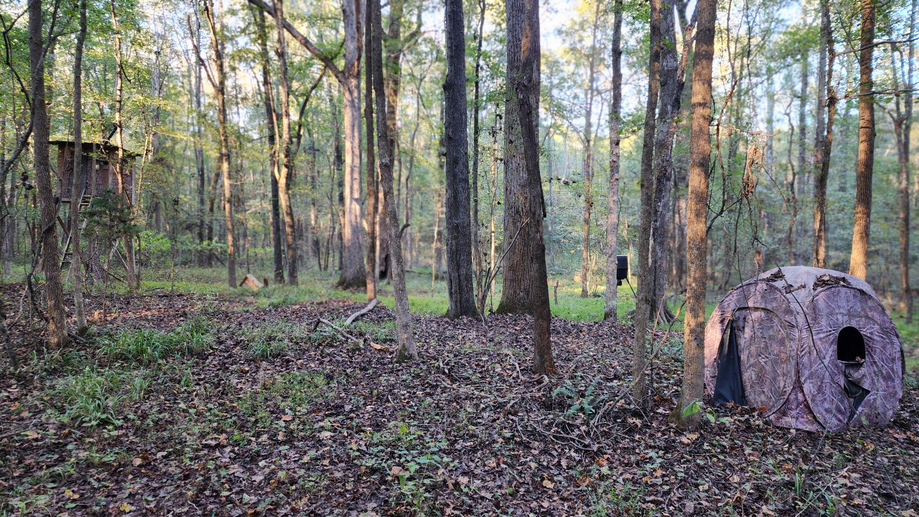 715 Oconee Forest Road