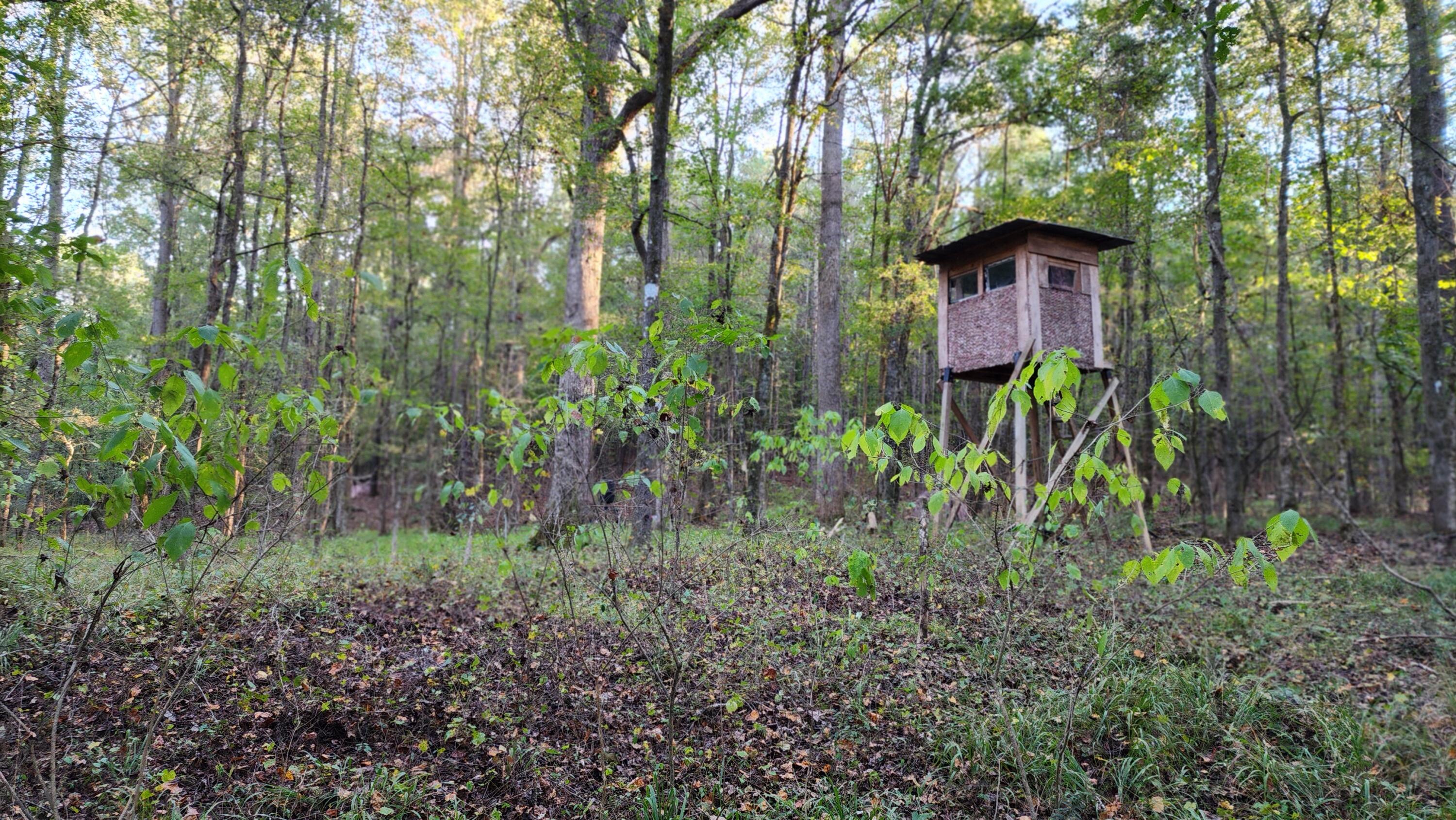 715 Oconee Forest Road