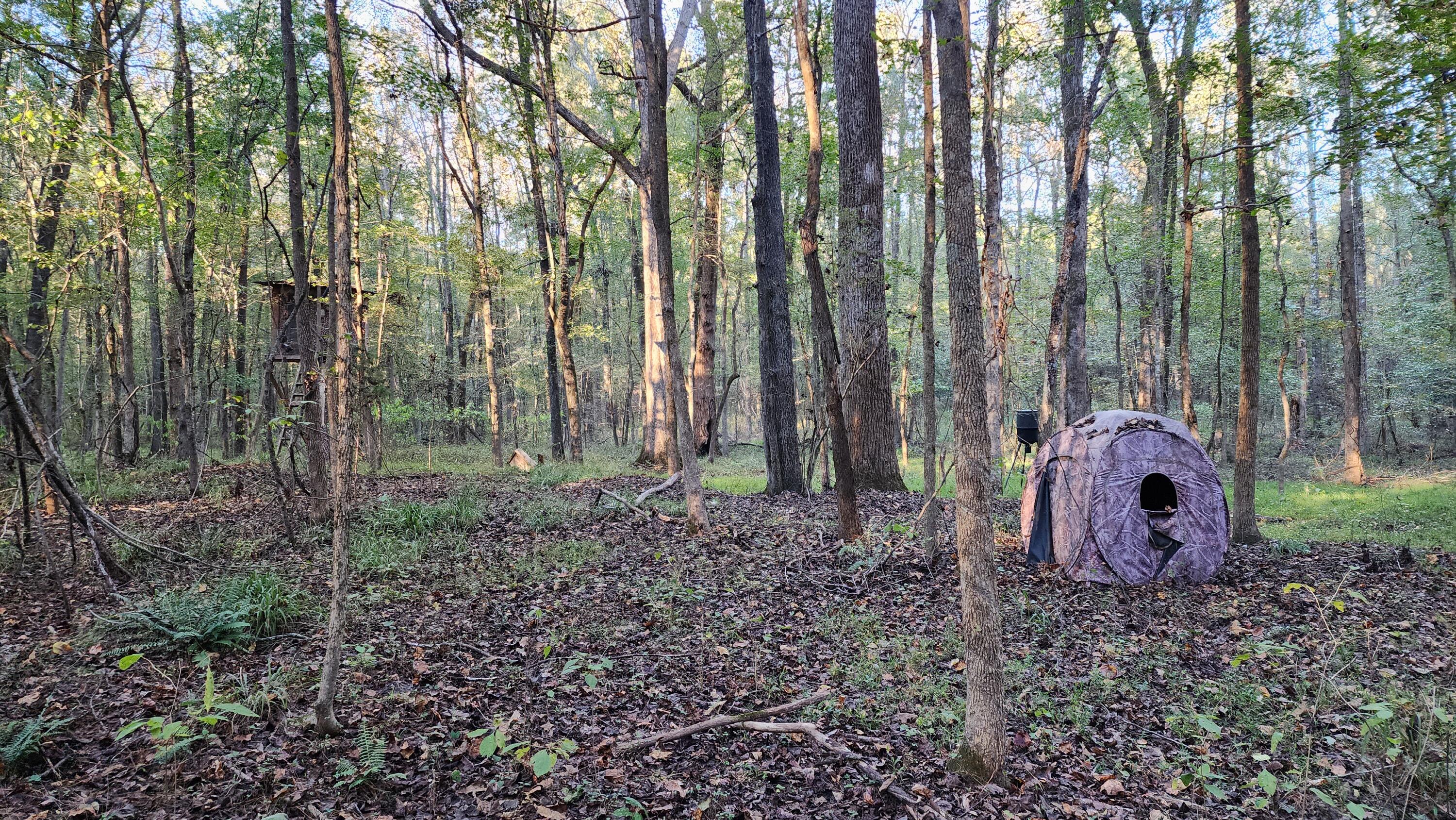 715 Oconee Forest Road