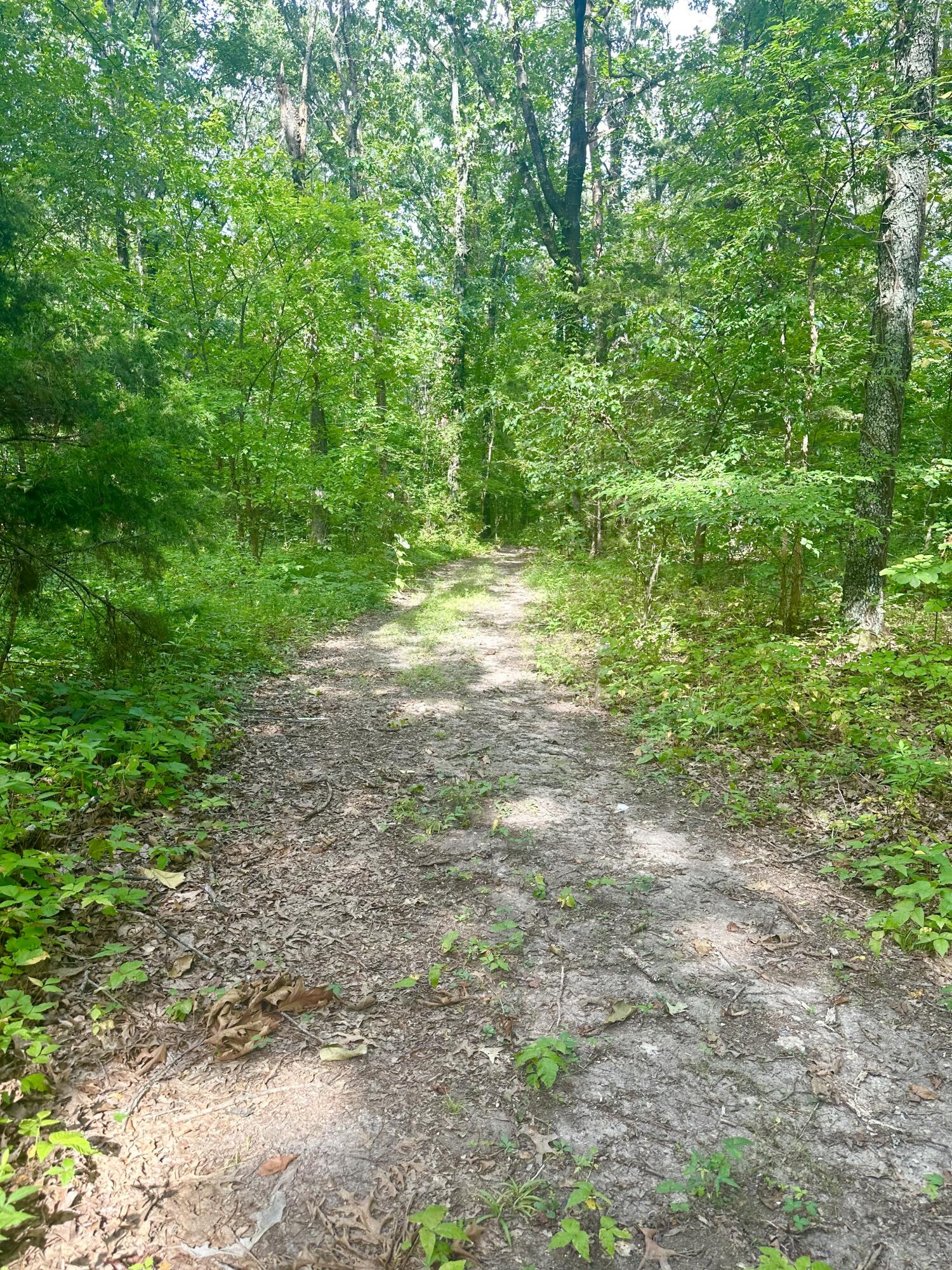 0 New Ridge & Newt Johnson Road