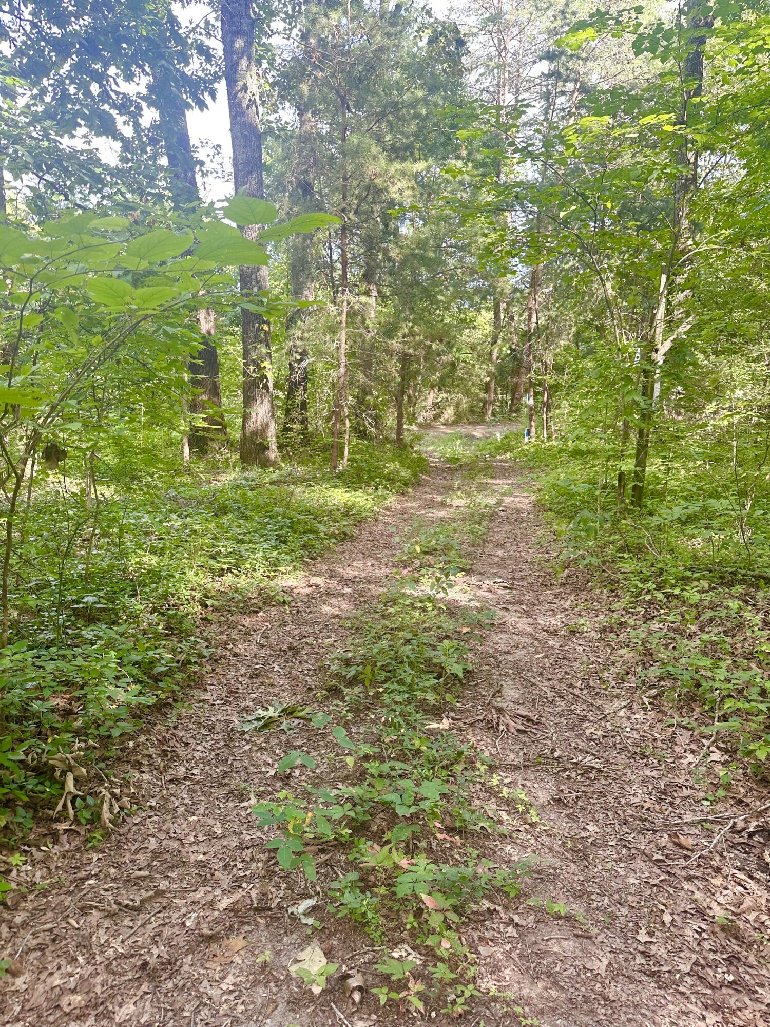 0 New Ridge & Newt Johnson Road
