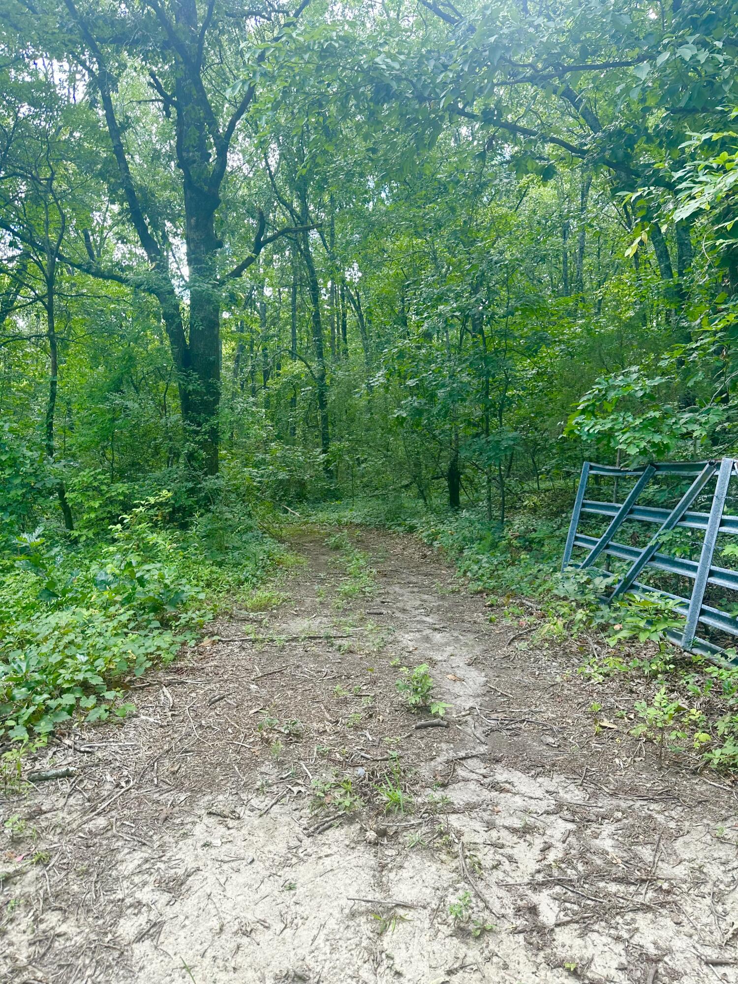 0 New Ridge & Newt Johnson Road