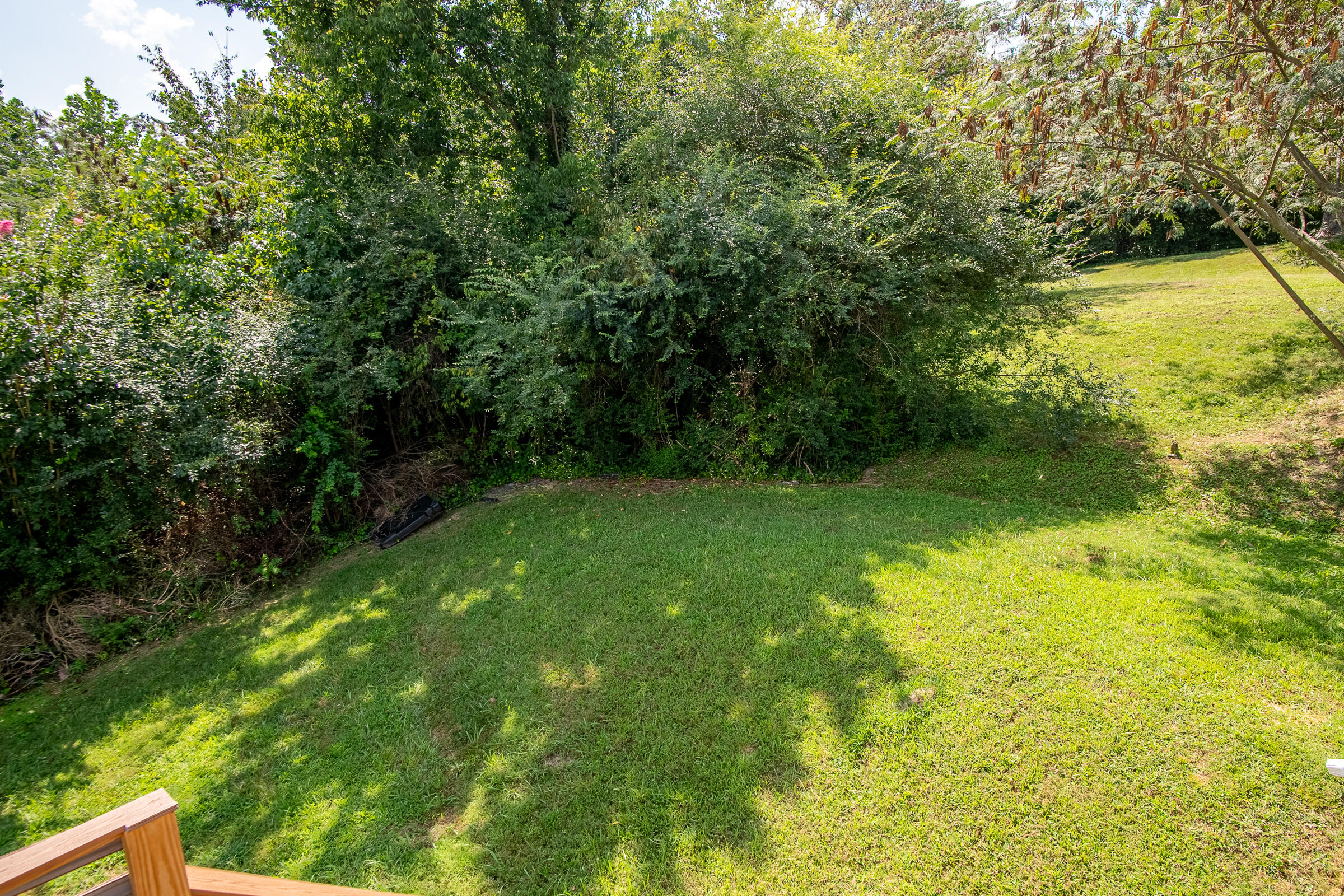 8208 Fallen Maple Drive