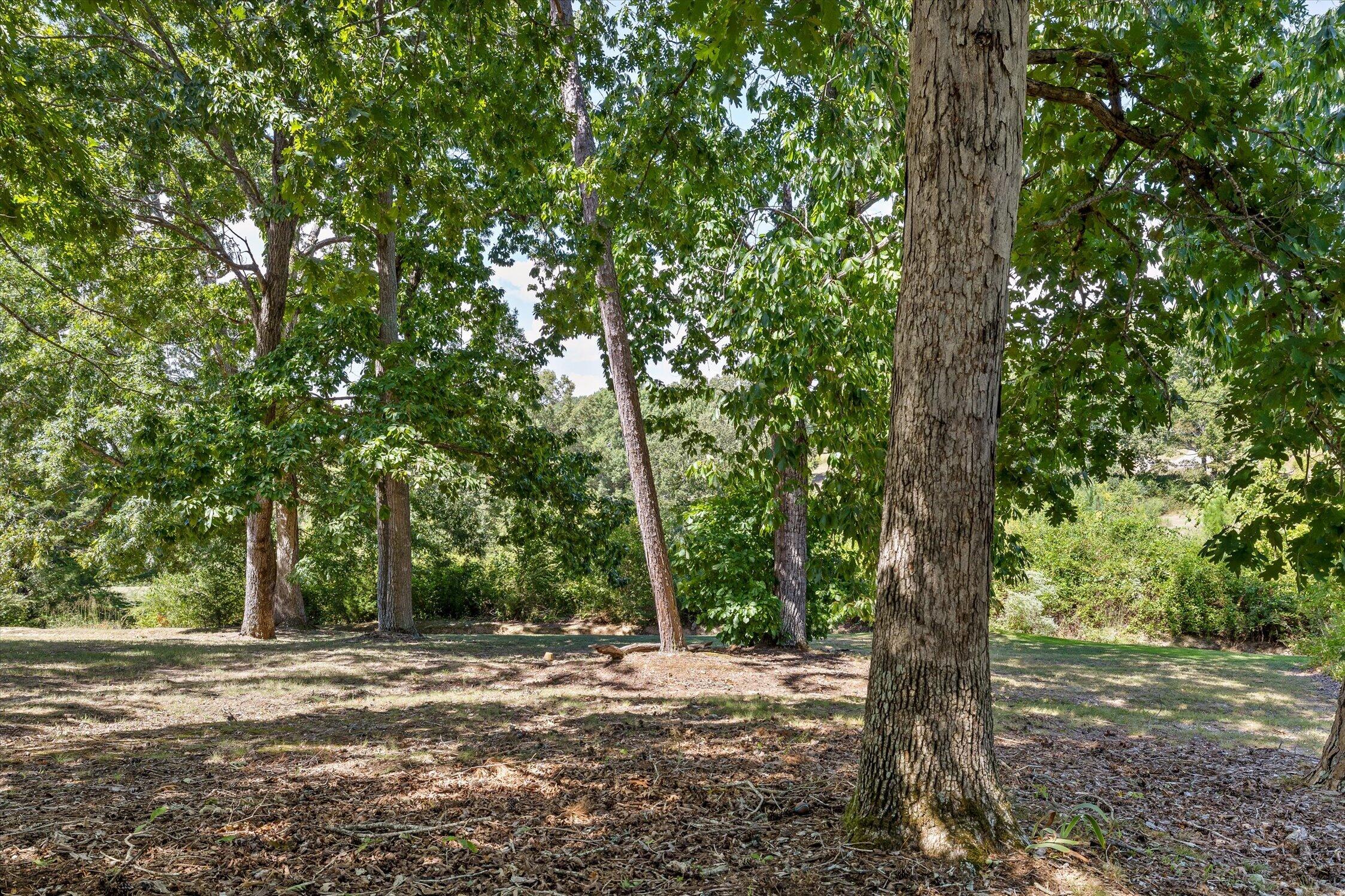 5937 Rainbow Springs Drive