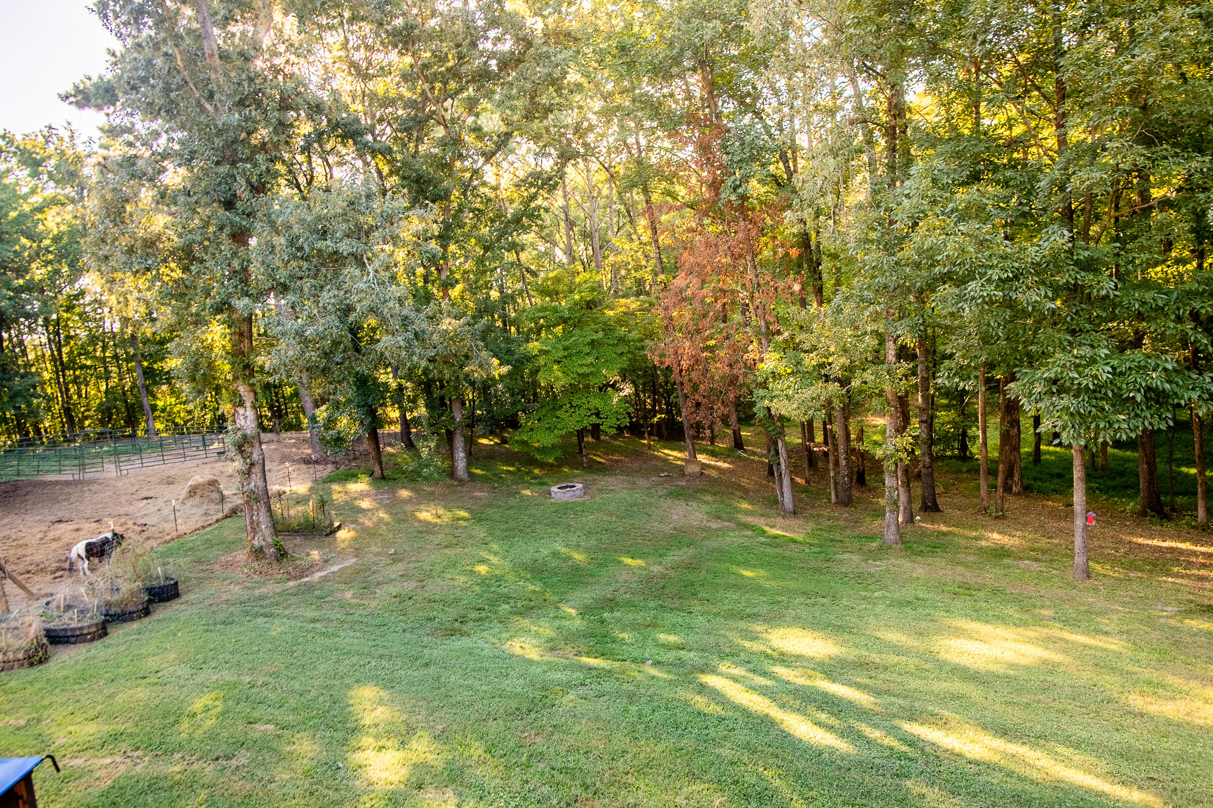 290 Potts Road