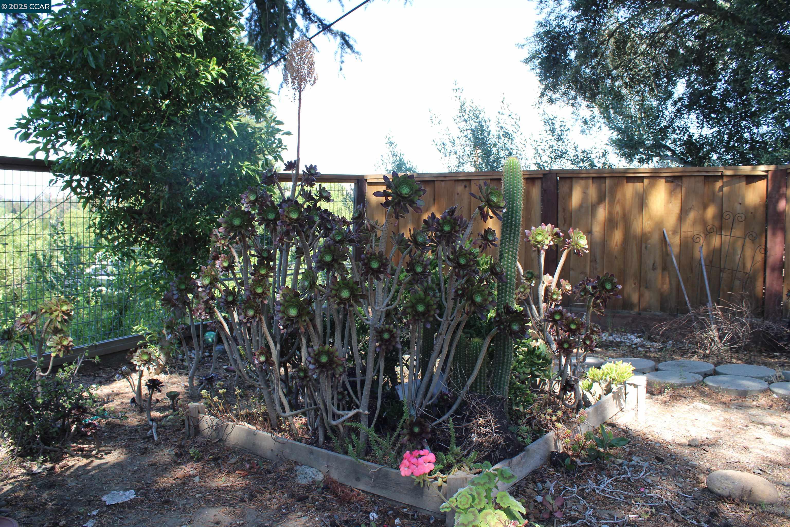 1952 Montclair Court