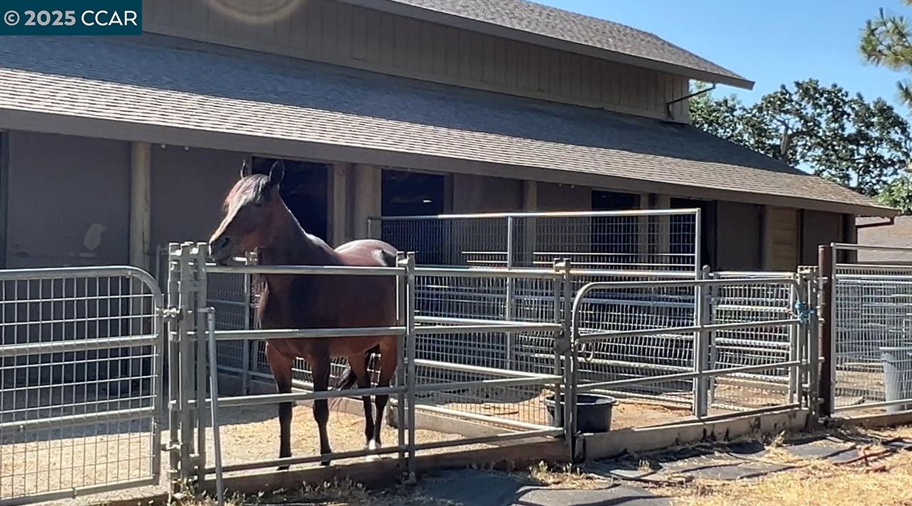 3165 Hambletonian Lane