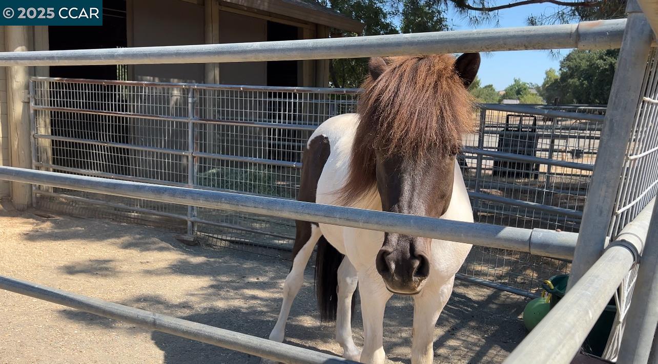 3165 Hambletonian Lane