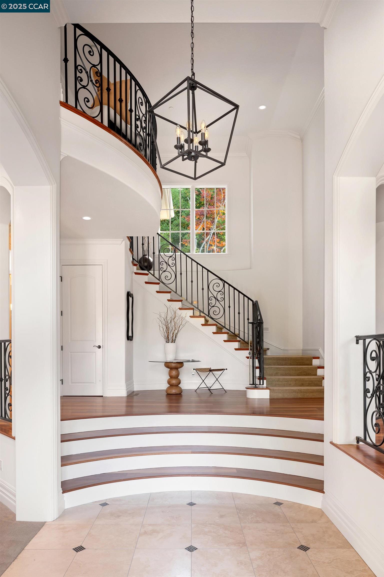 147 Camellia Ln