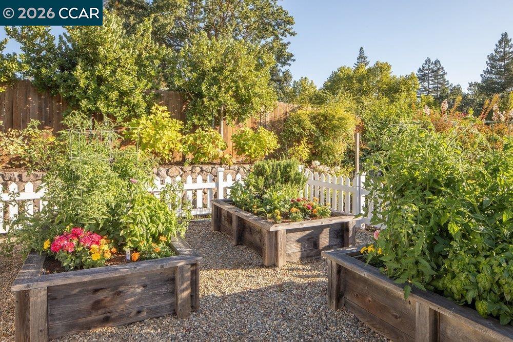 694 Los Palos Dr