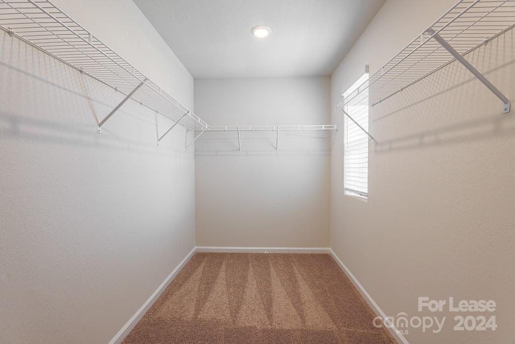 8113 Derby Woods Lane