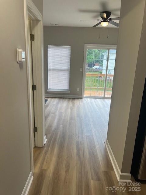 6366 Royal Celadon Way
