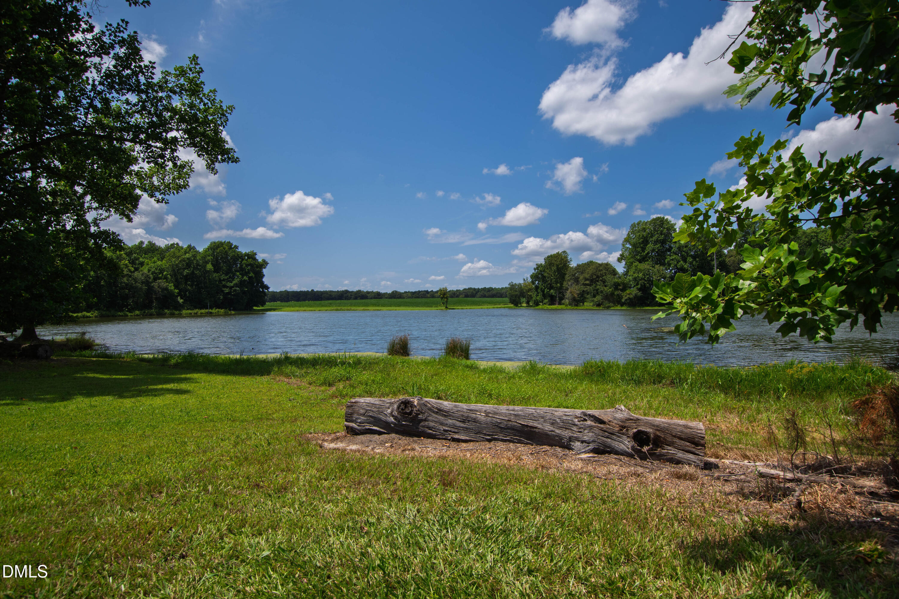 Pond with a grassy shoreline, mature trees, and a large fallen log in the foreground.