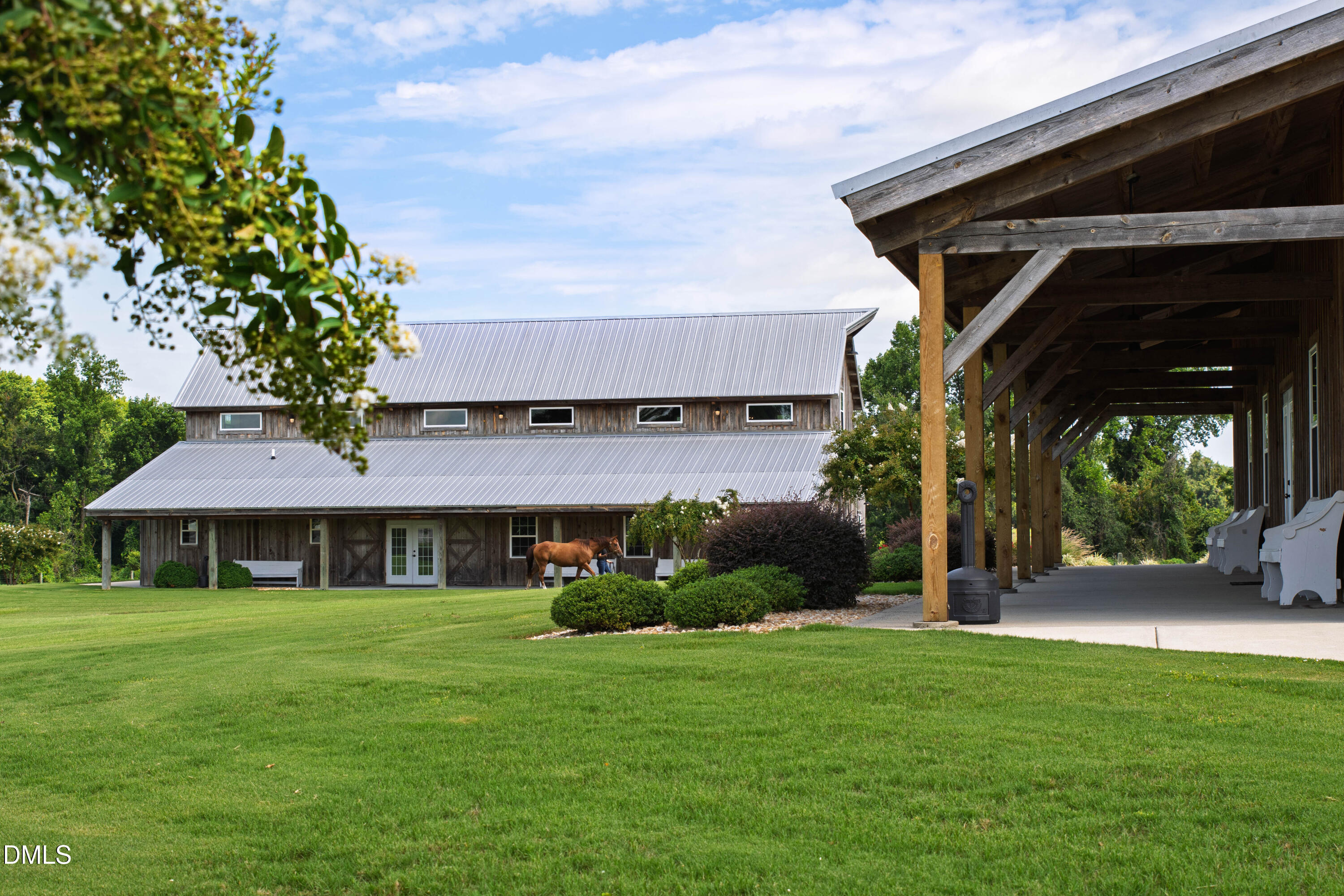 Rustic timber building with a metal roof, deep covered porch, and a horse on the lawn.