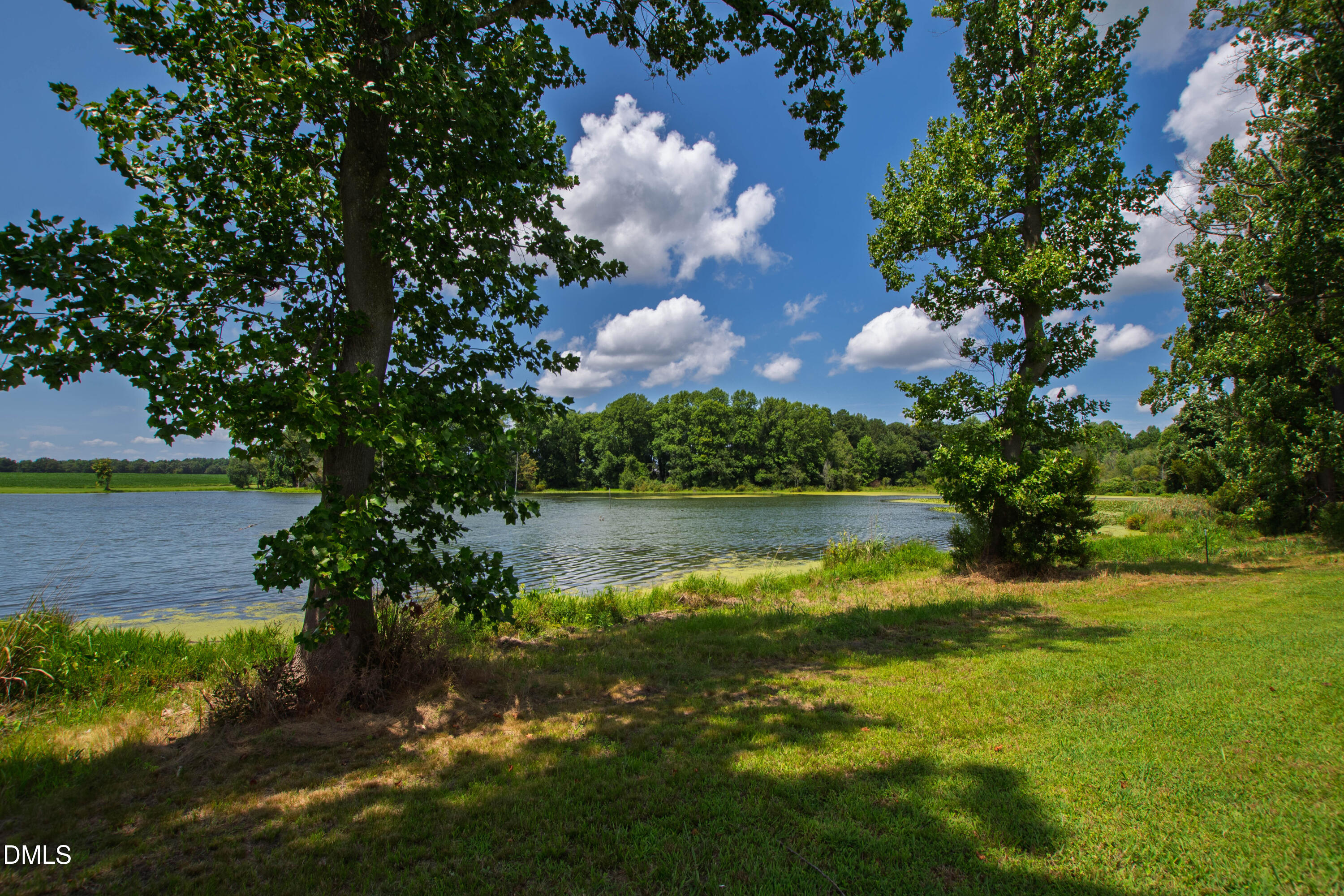 Pond bordered by grassy banks and mature trees on a sunny day.