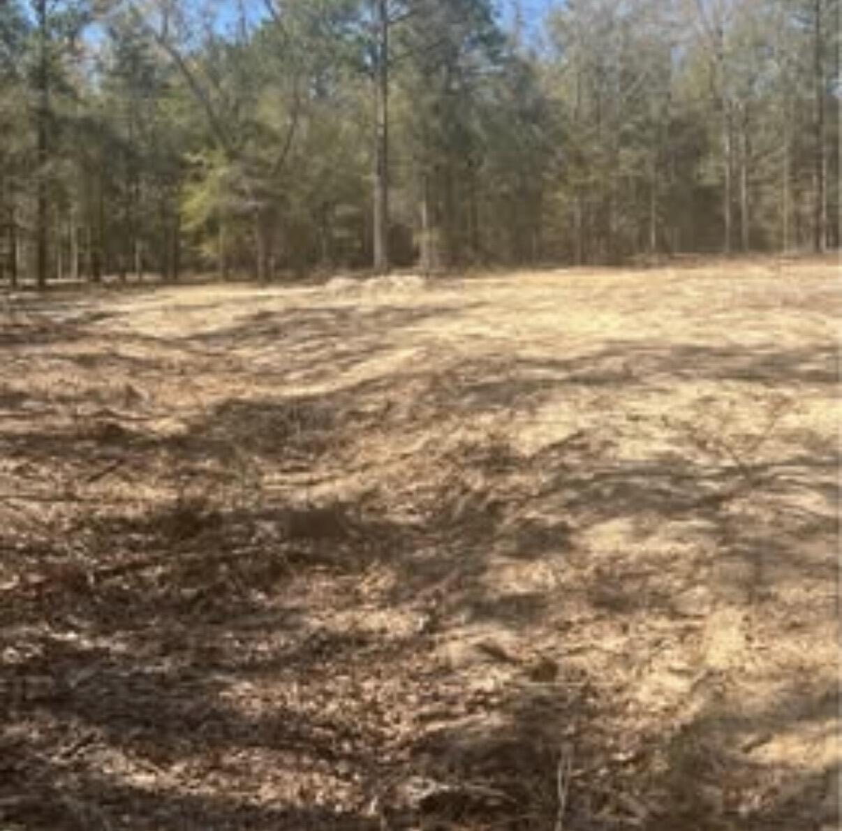 11226 N Lakeview Drive