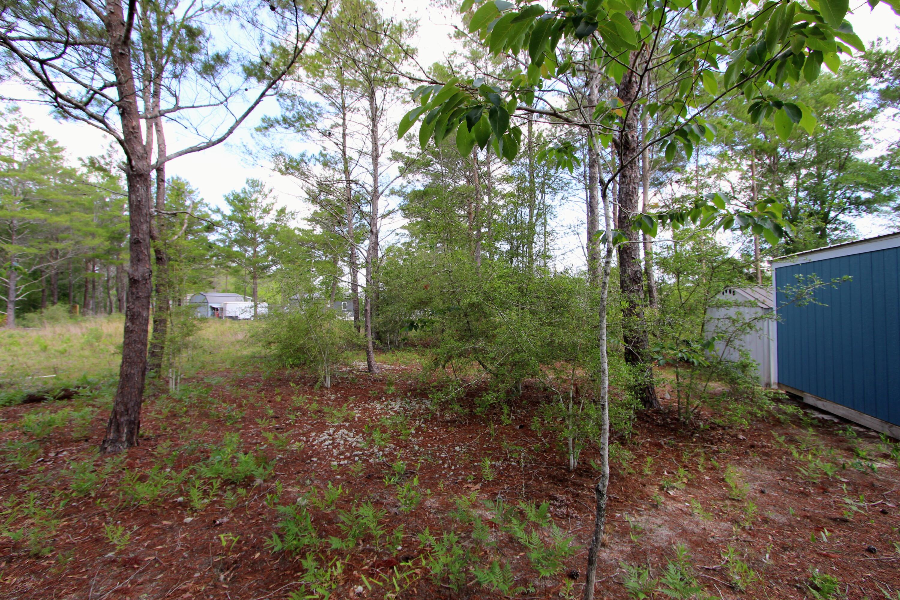 28 Meteyard Lane, DeFuniak Springs