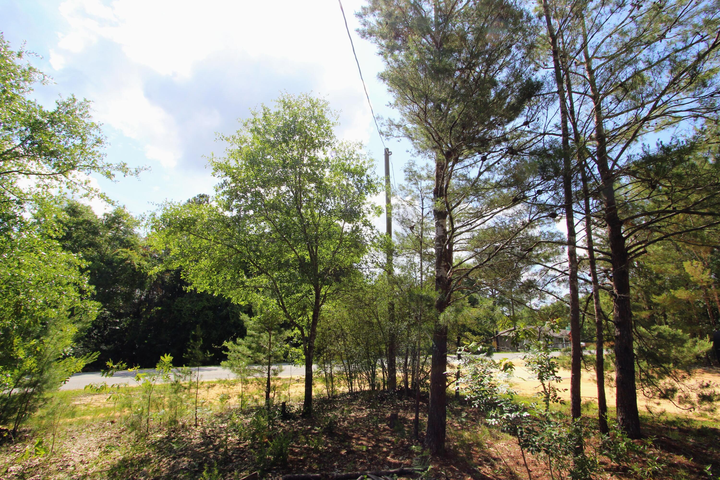 28 Meteyard Lane, DeFuniak Springs