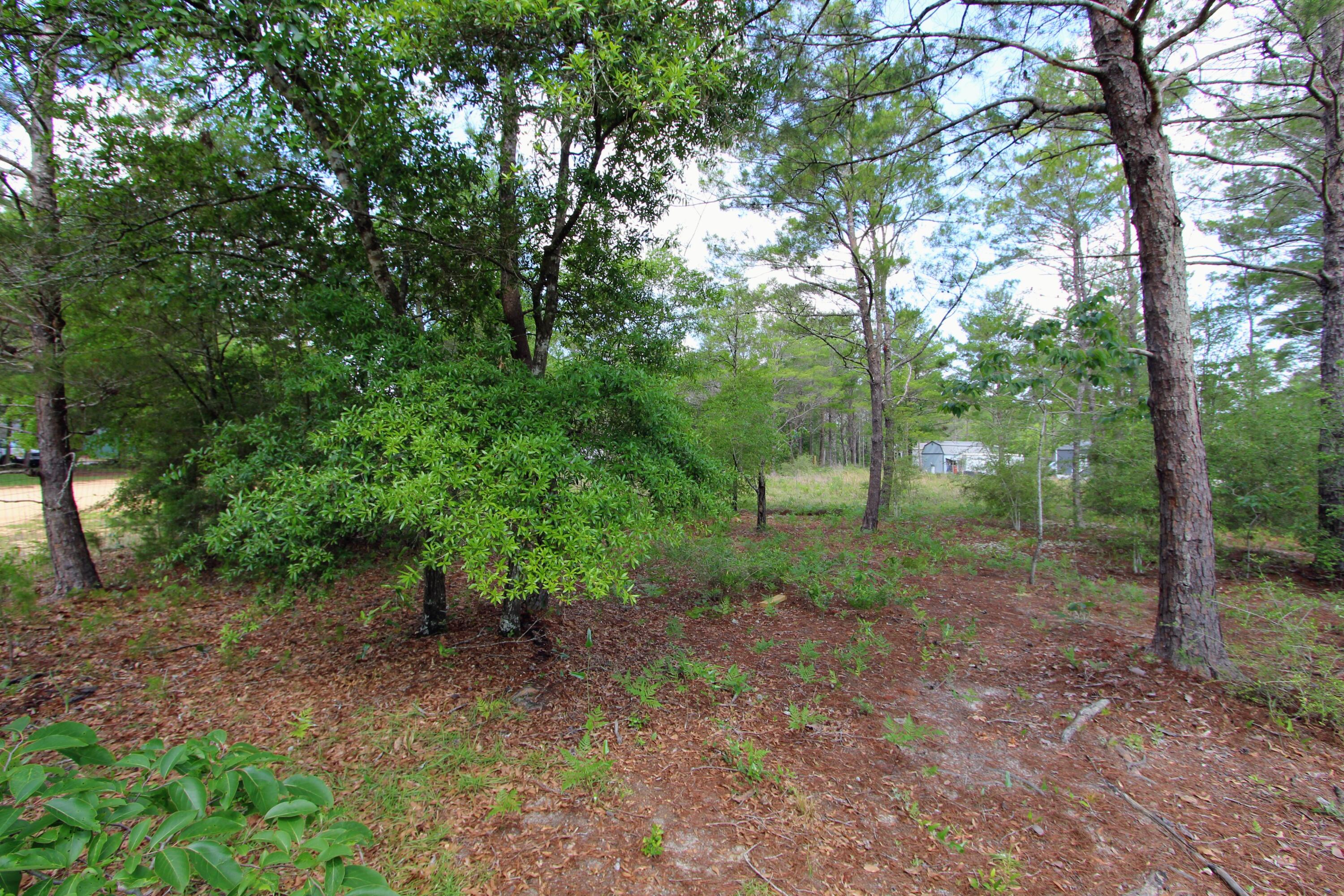 28 Meteyard Lane, DeFuniak Springs