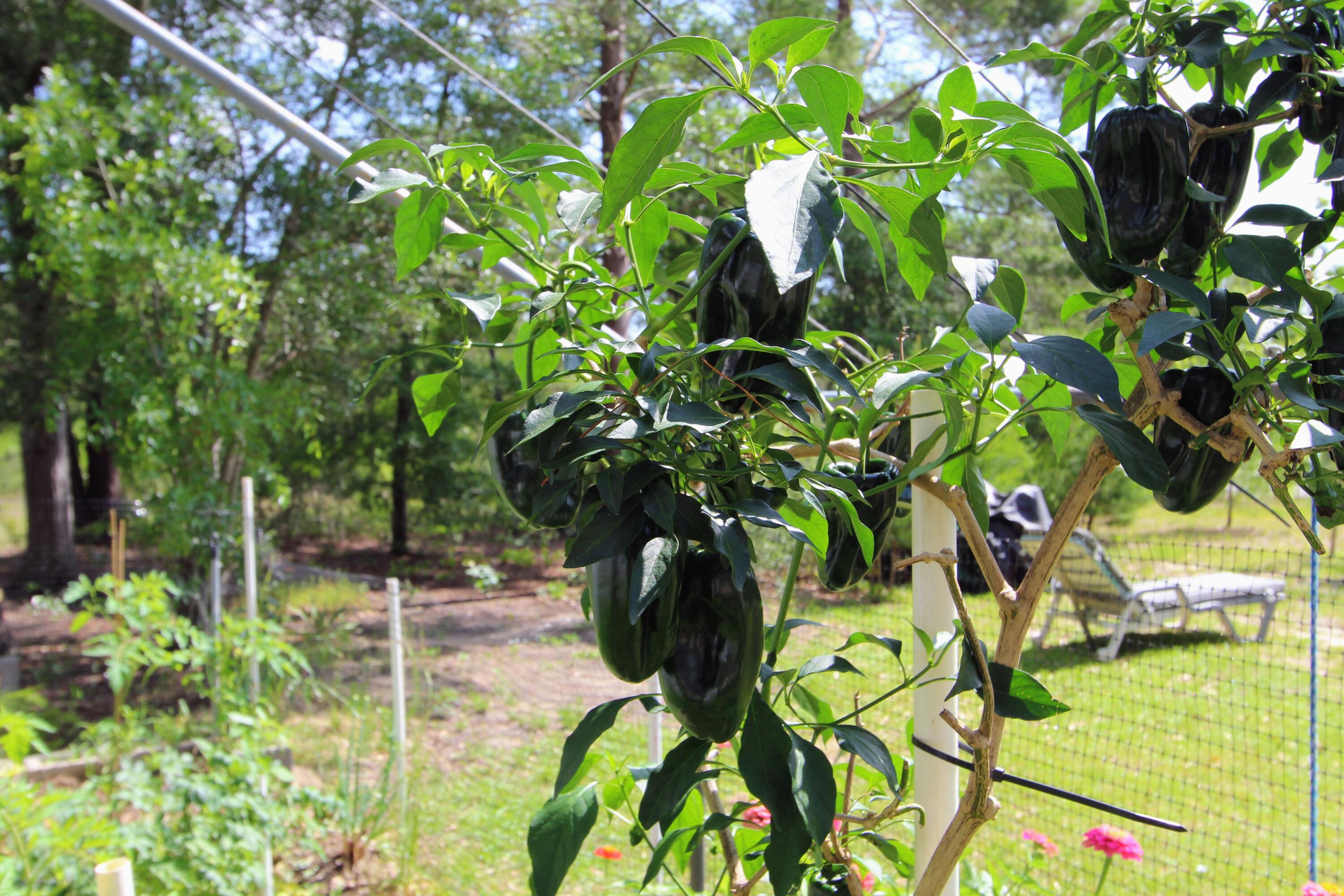 28 Meteyard Lane, DeFuniak Springs