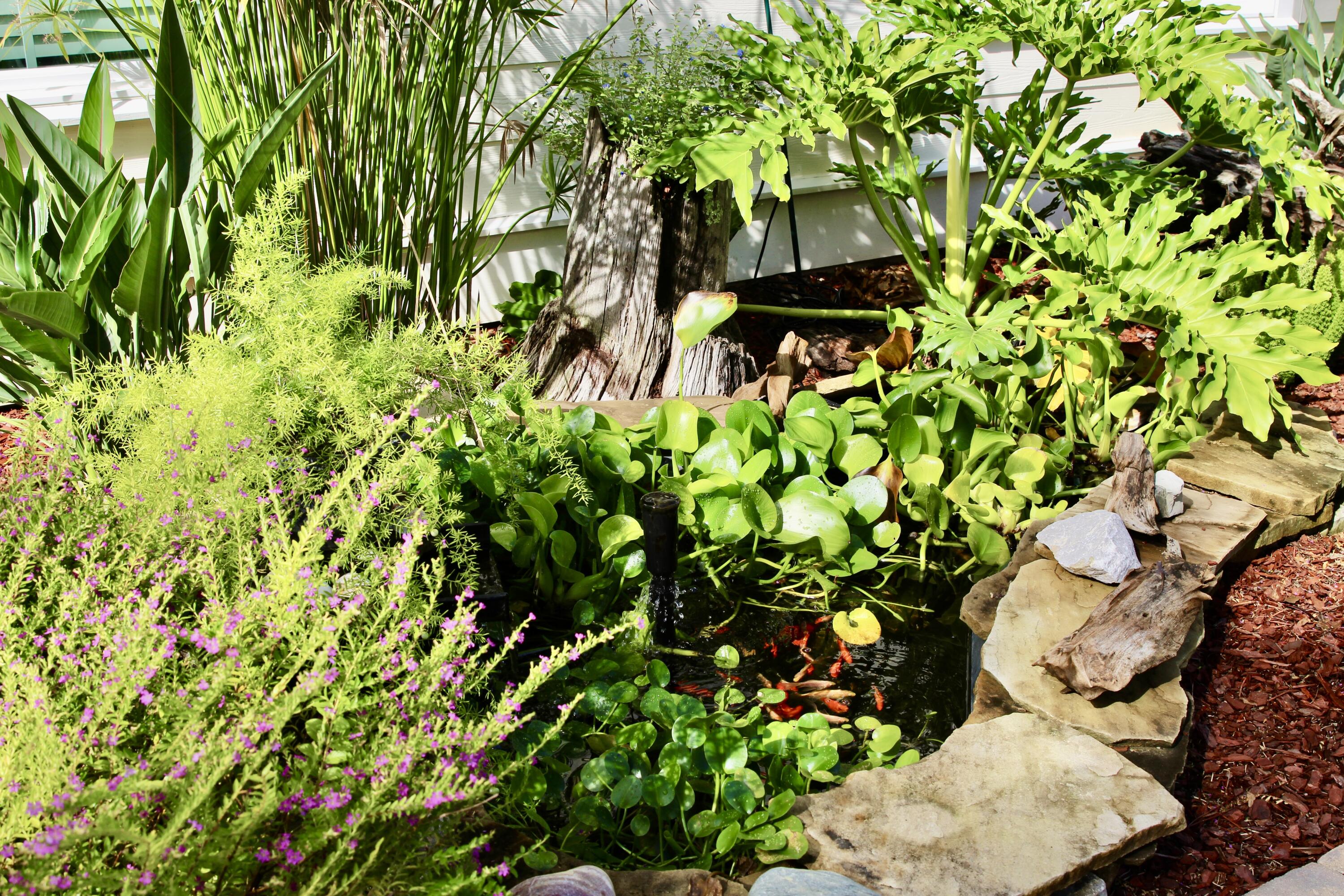 103 W Bayou Forest Drive