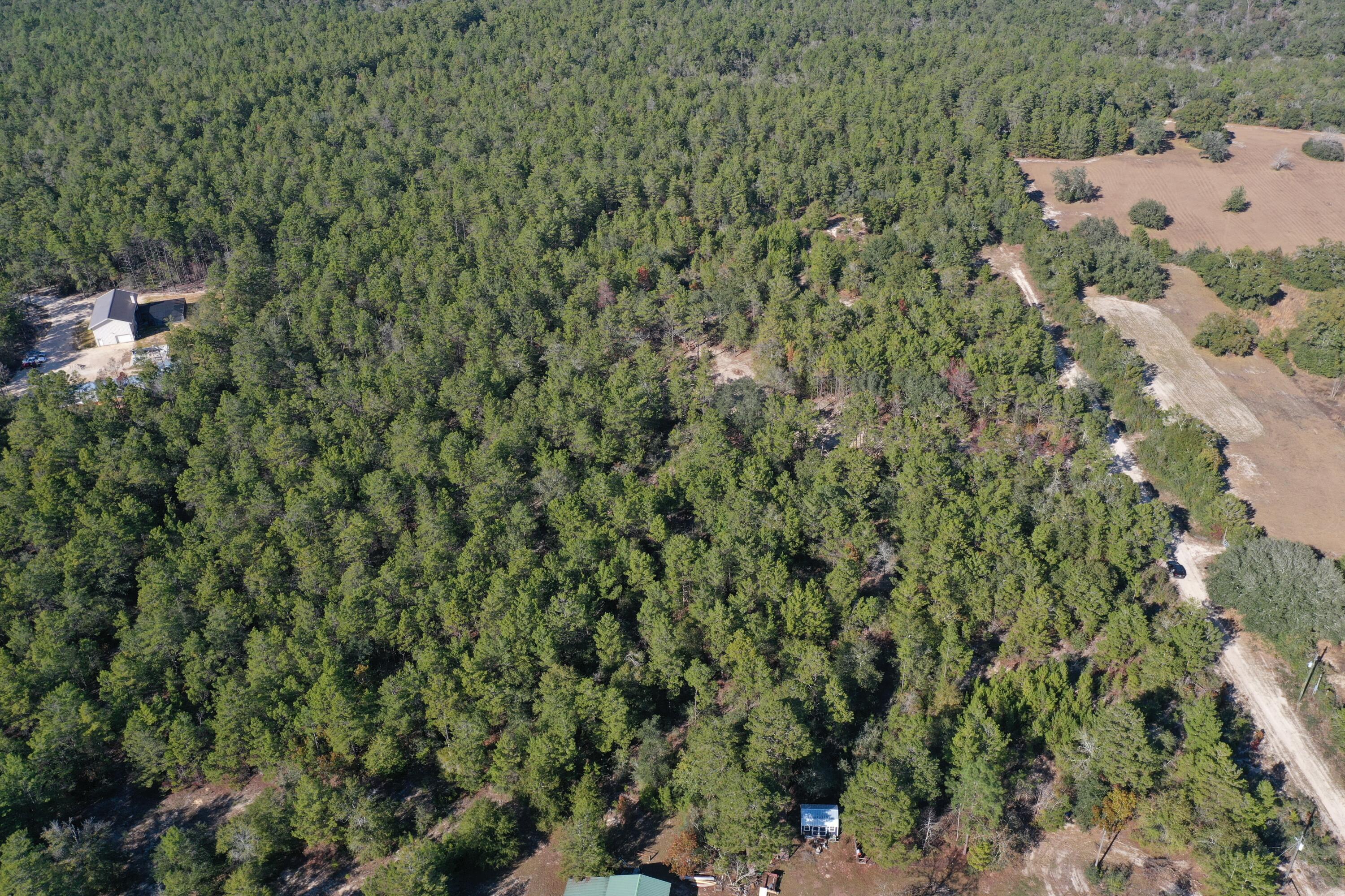 xx Hannanh Branch Road