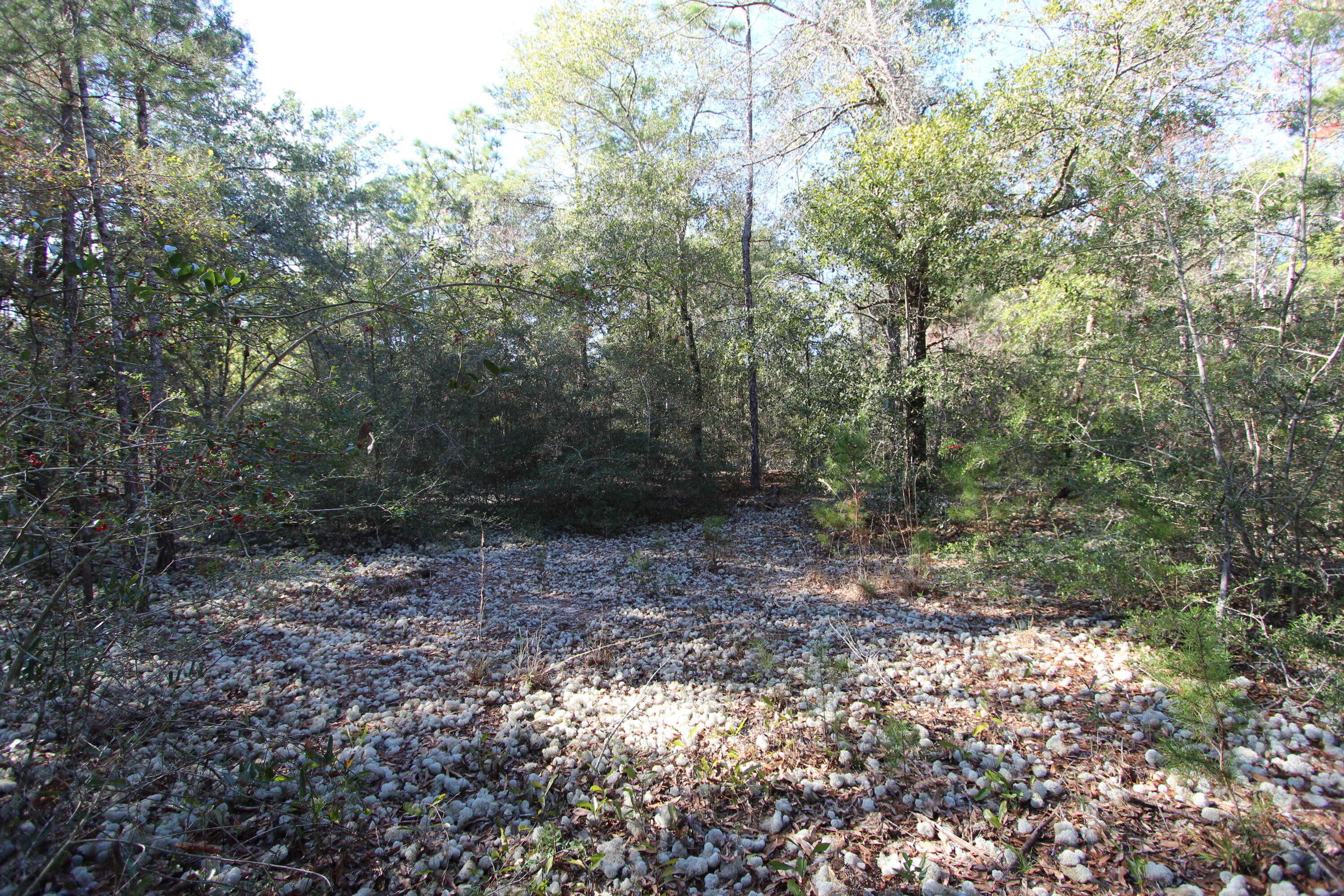 xx Hannanh Branch Road