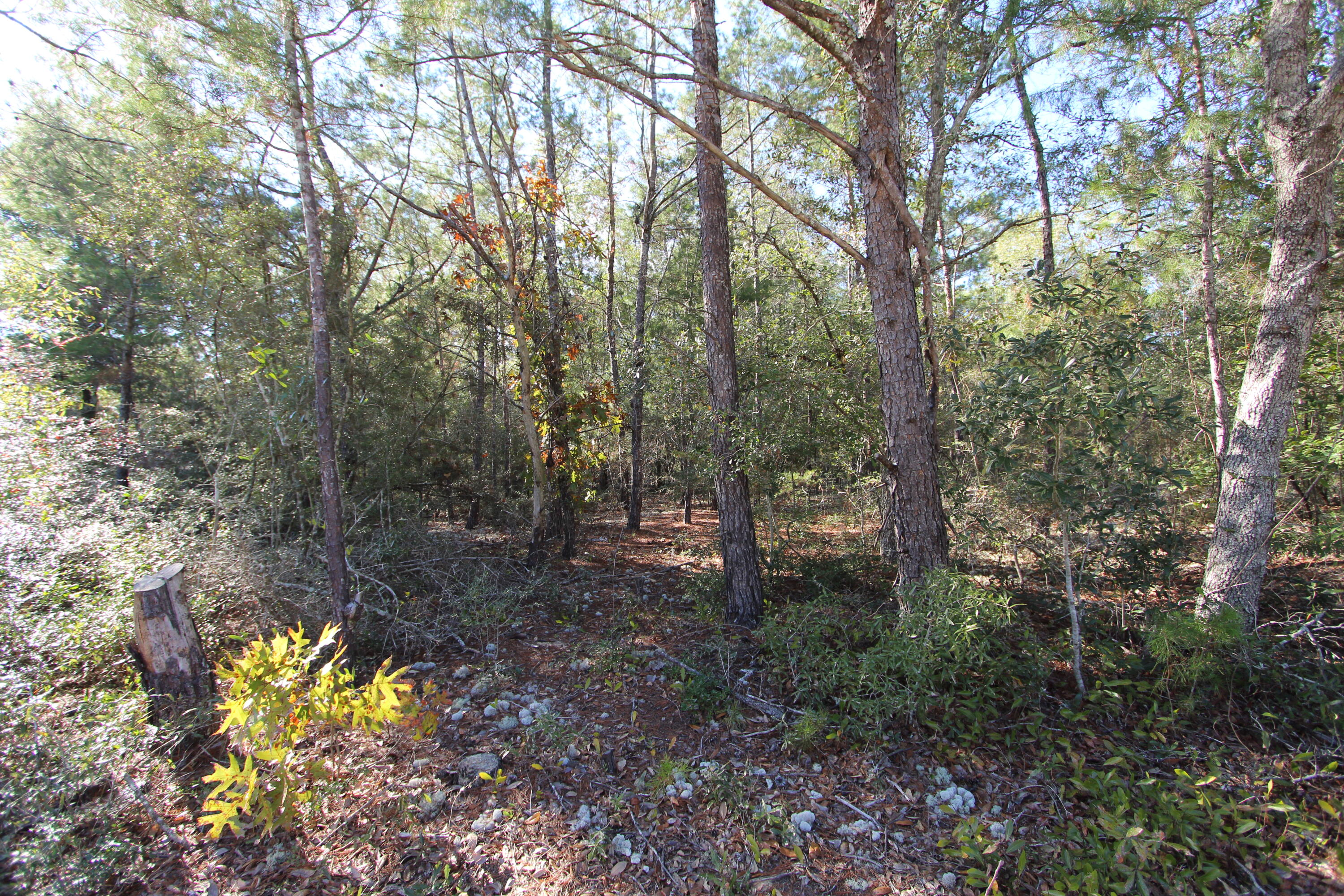 xx Hannanh Branch Road