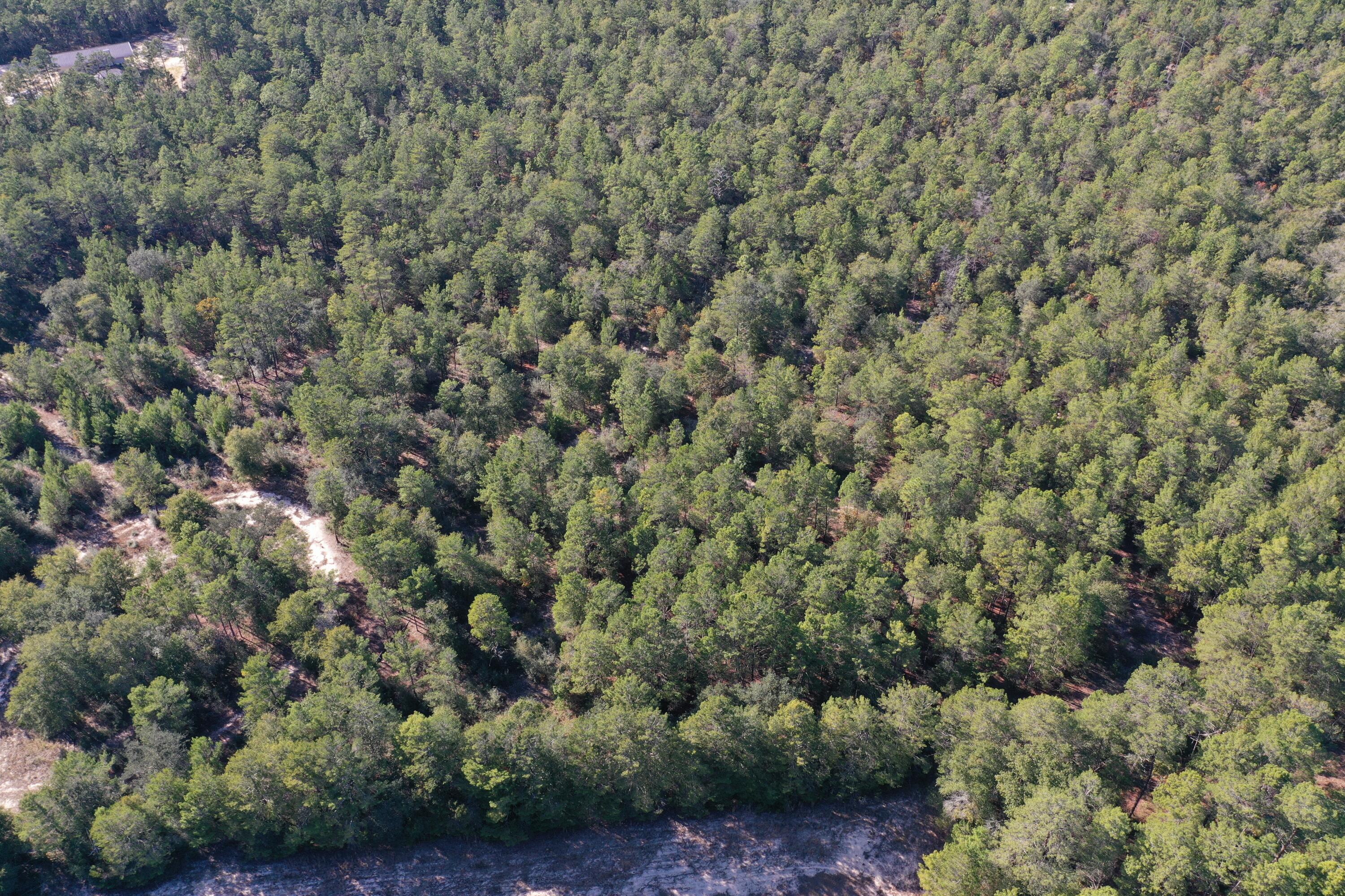 xx Hannanh Branch Road