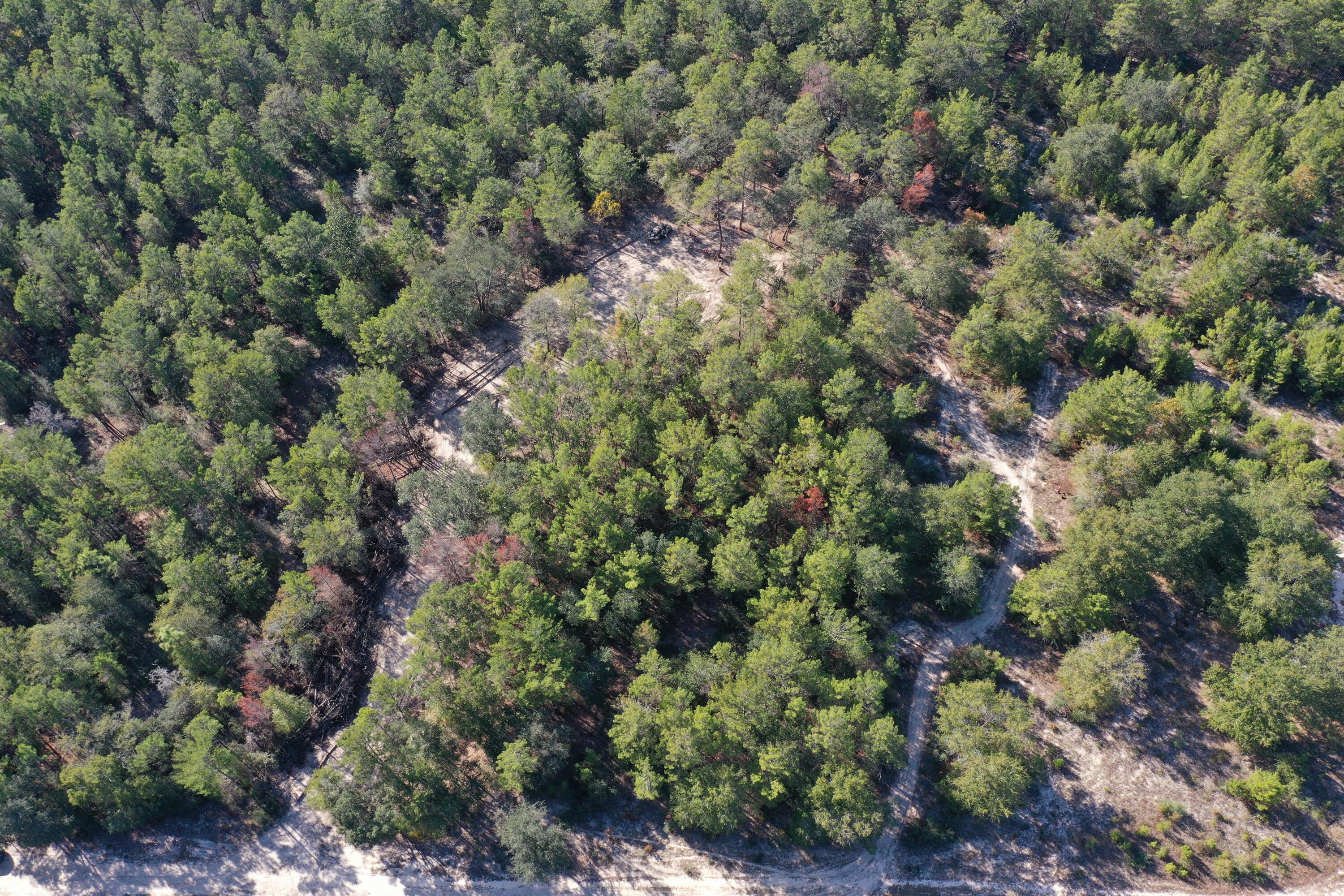 xx Hannanh Branch Road