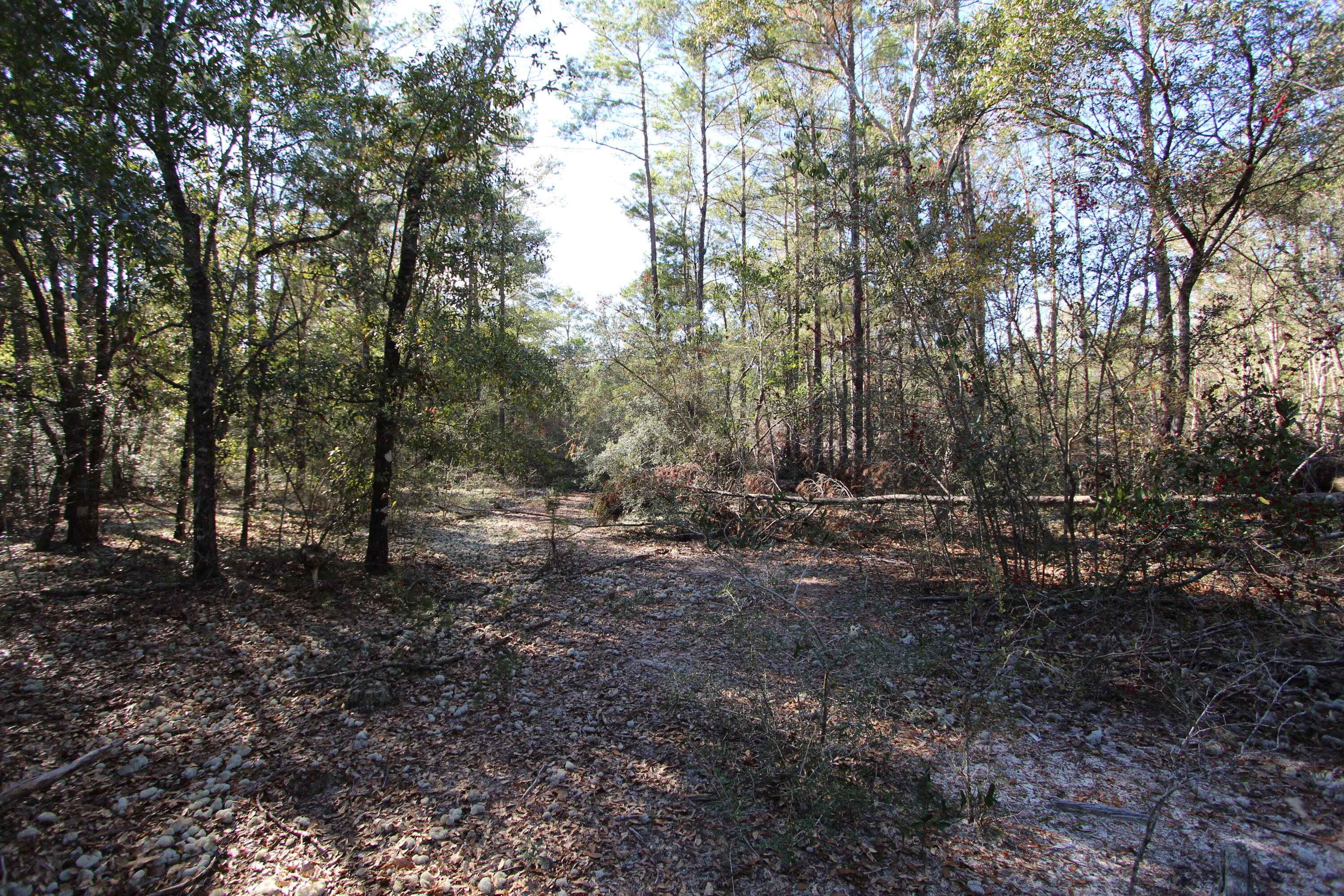 xx Hannanh Branch Road