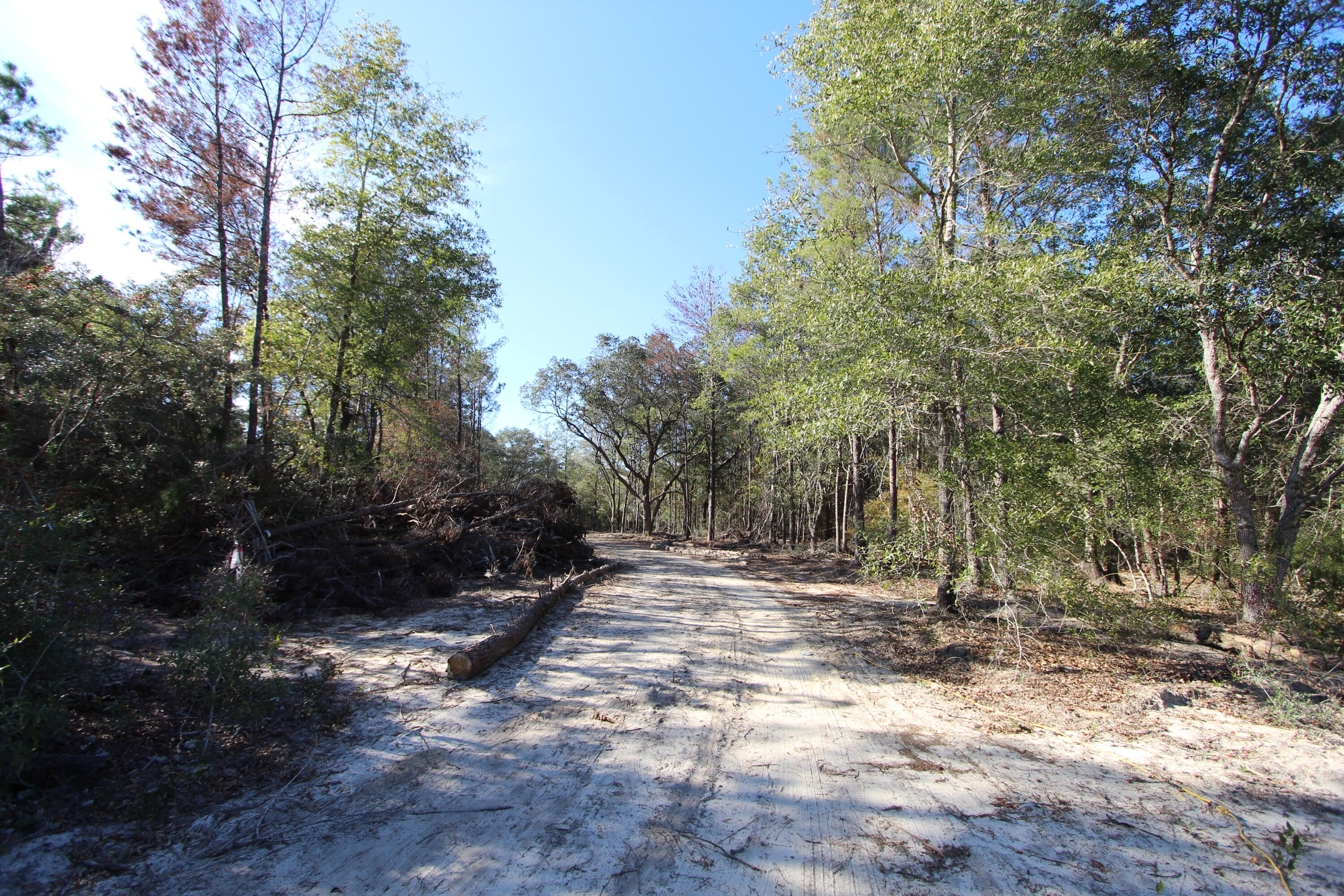 xx Hannanh Branch Road