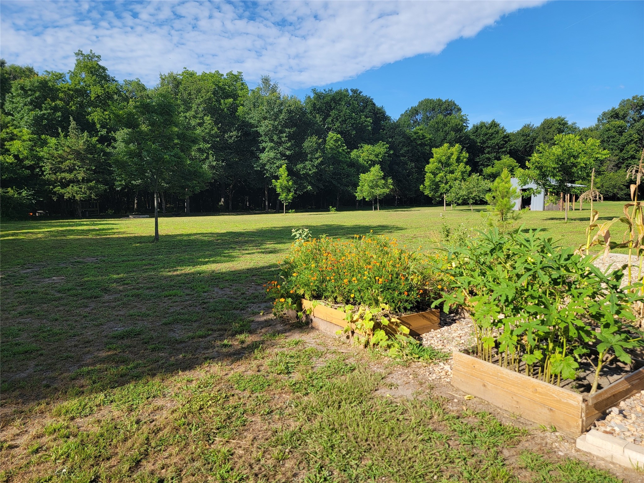1390 County Road 2850