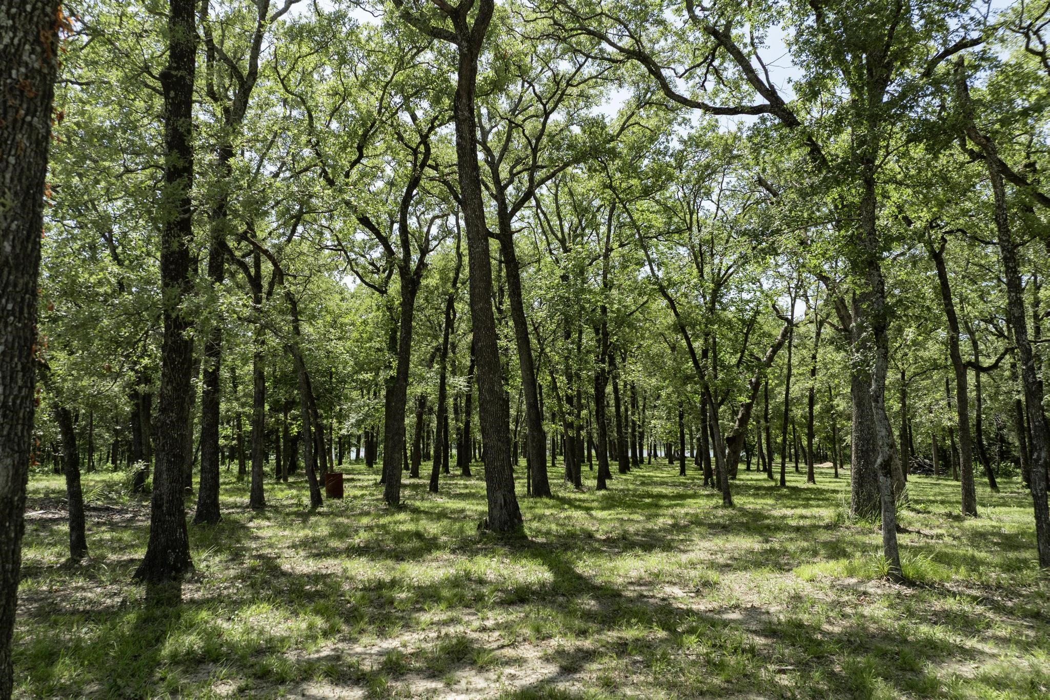 Lot 71 Anchor Point