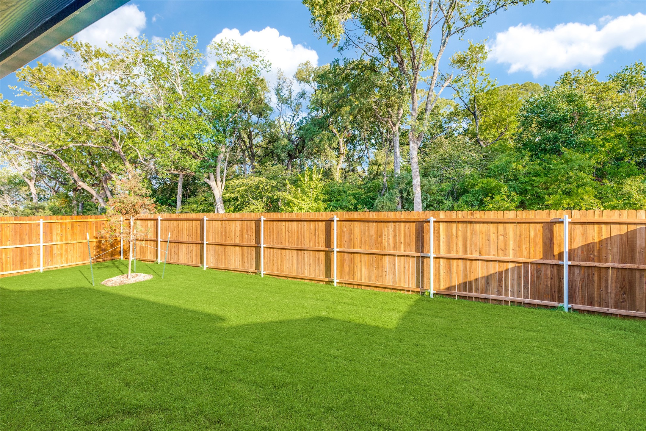 1113 Birchwood Lane