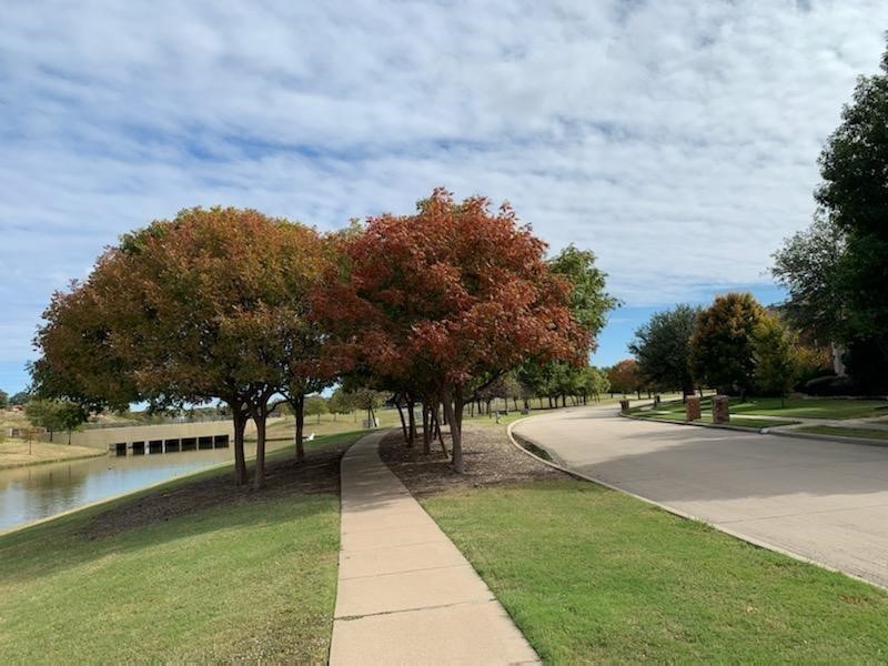 1096 Wetland Drive