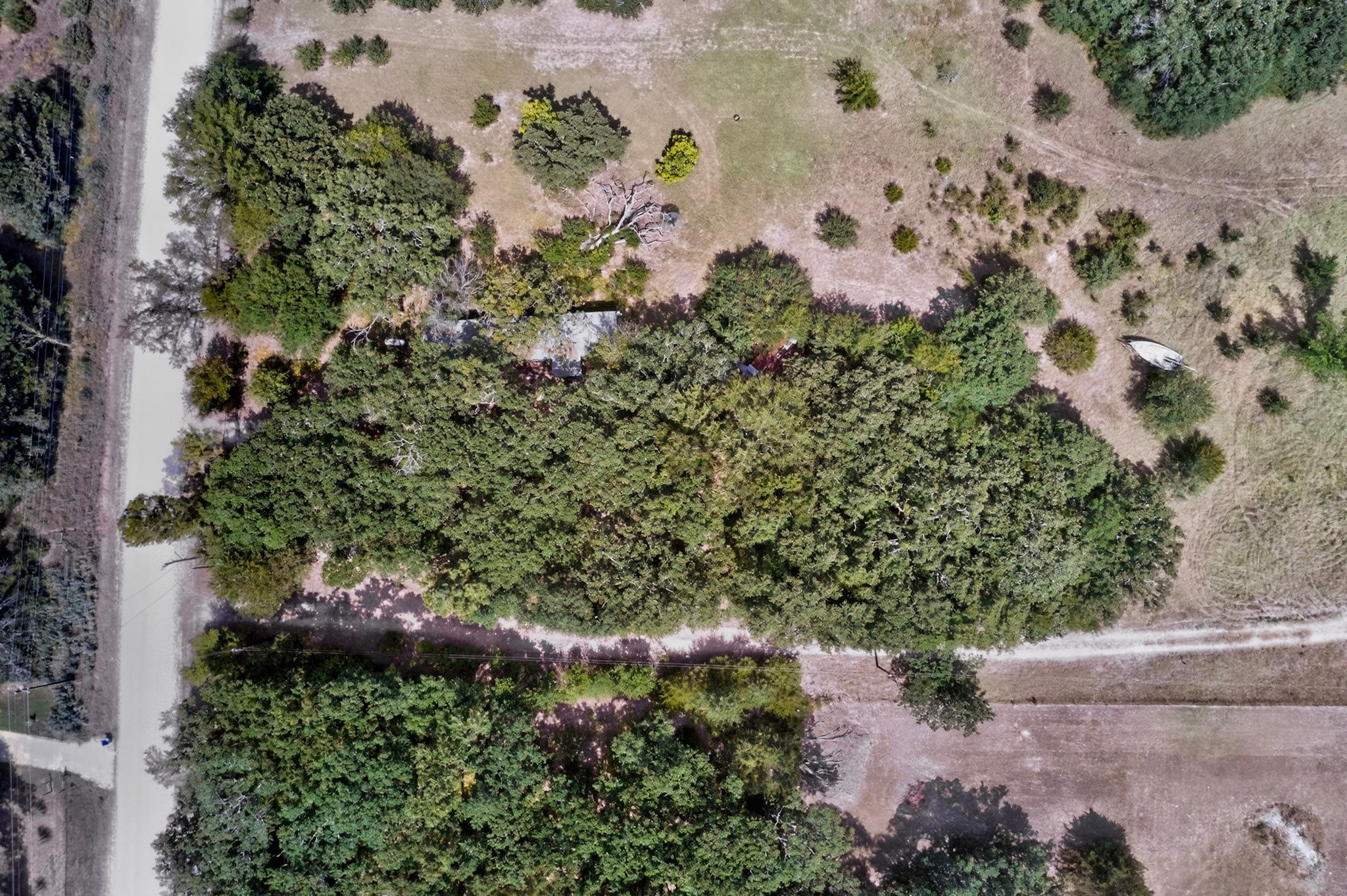 14266 Hickory Tree Lane