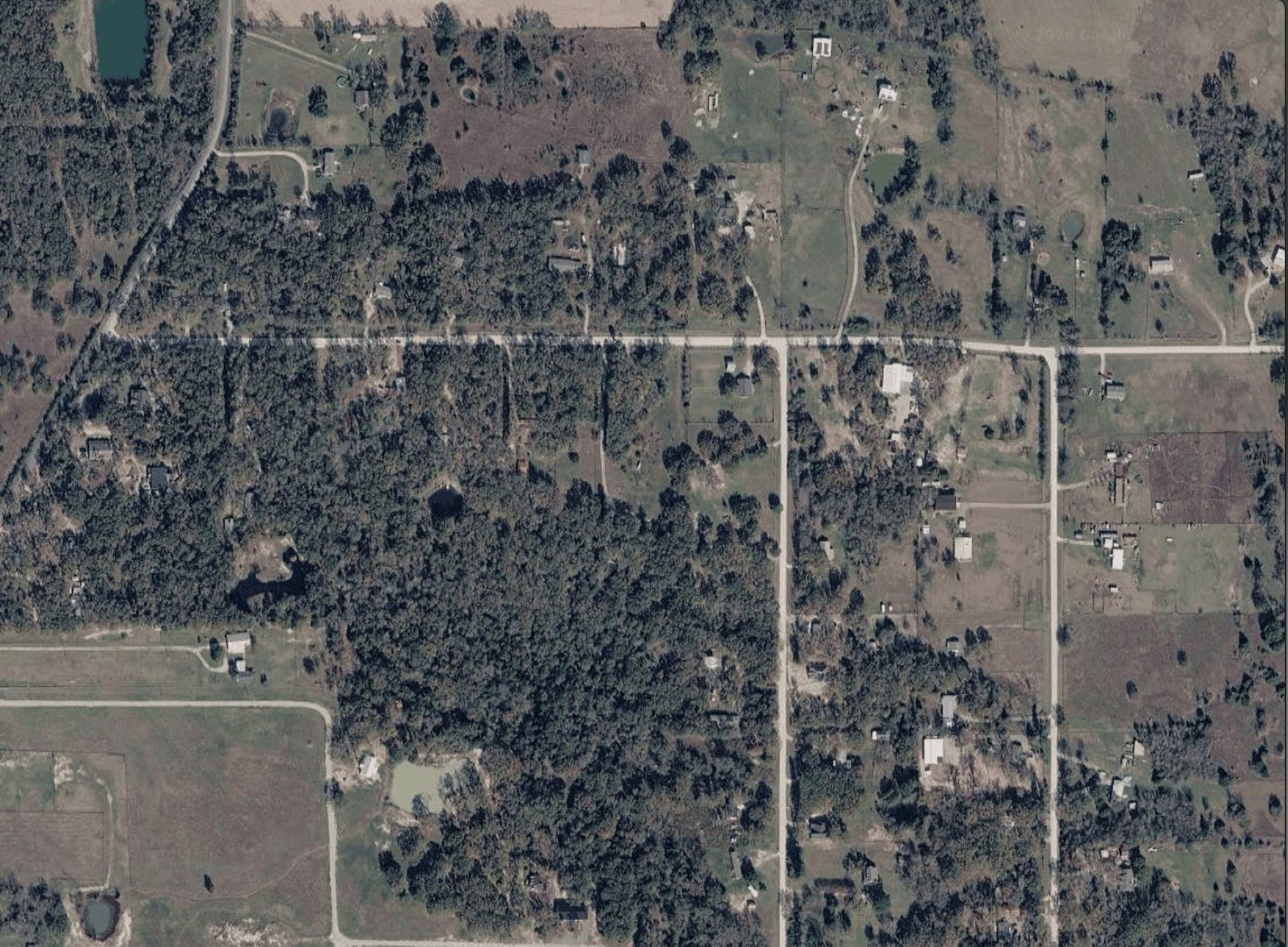 14266 Hickory Tree Lane