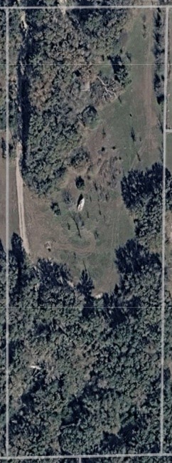 14266 Hickory Tree Lane