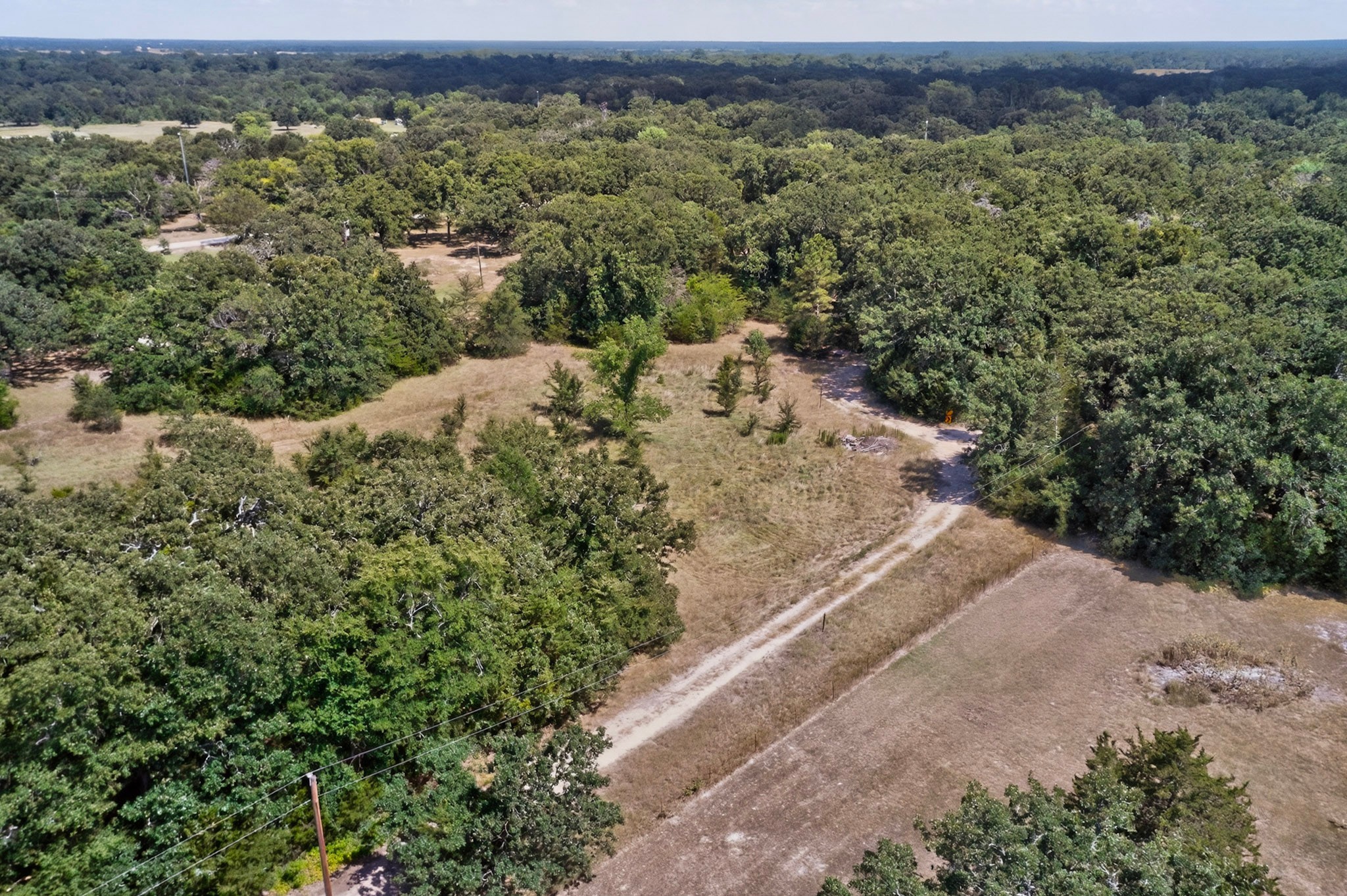 14266 Hickory Tree Lane